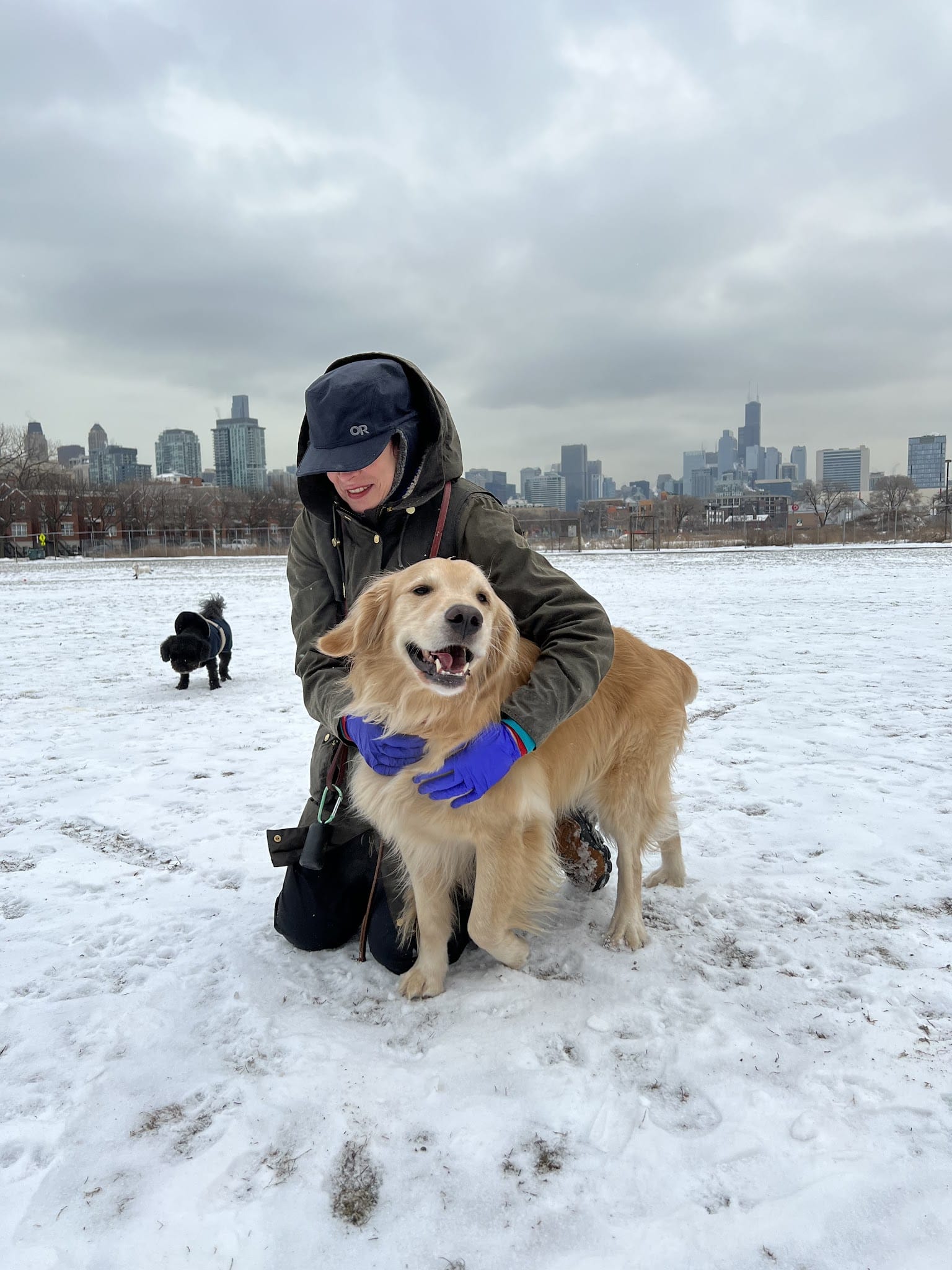 Park #598 - Chicago, IL