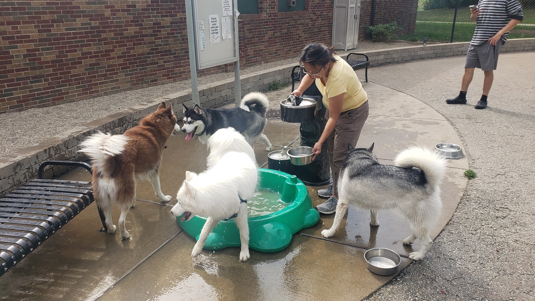 Portage Park Dog Friendly Area - Chicago, IL