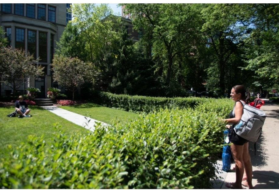 Public Picnic Park - Chicago, IL