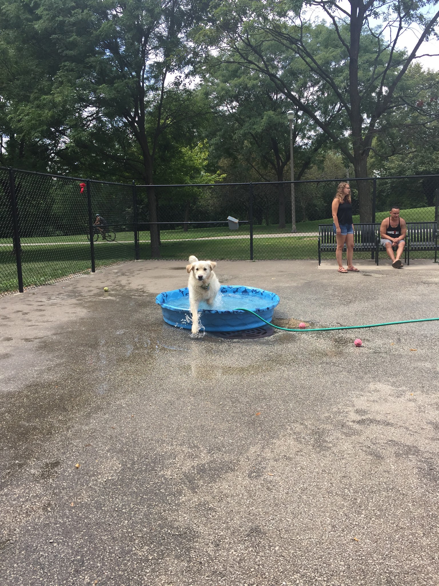 River Park Dog Friendly Area - Chicago, IL