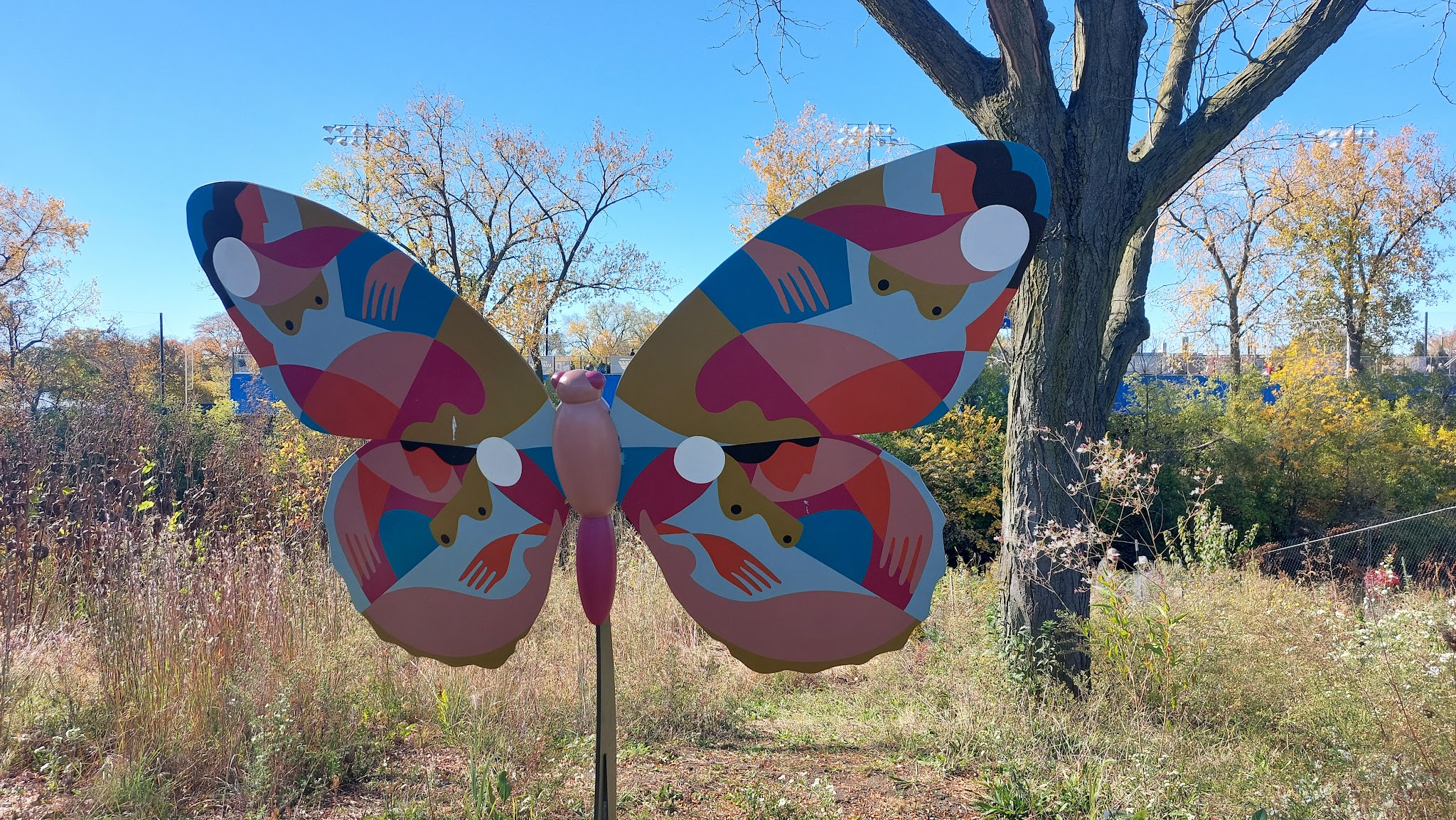 River Park Dog Friendly Area - Chicago, IL