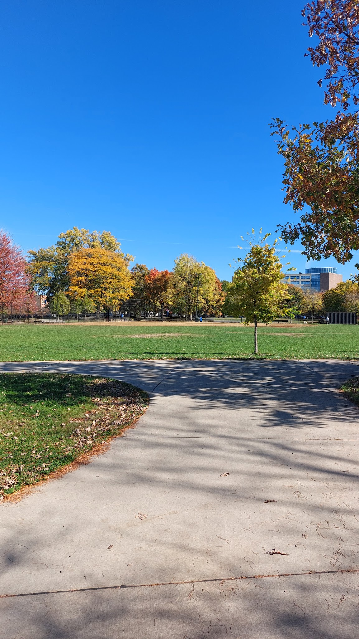 River Park Dog Friendly Area - Chicago, IL