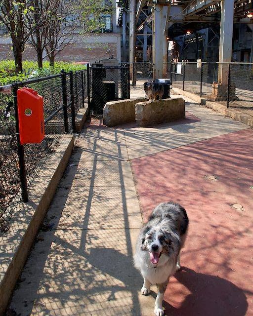 South Loop Action Cooperative - Chicago, IL