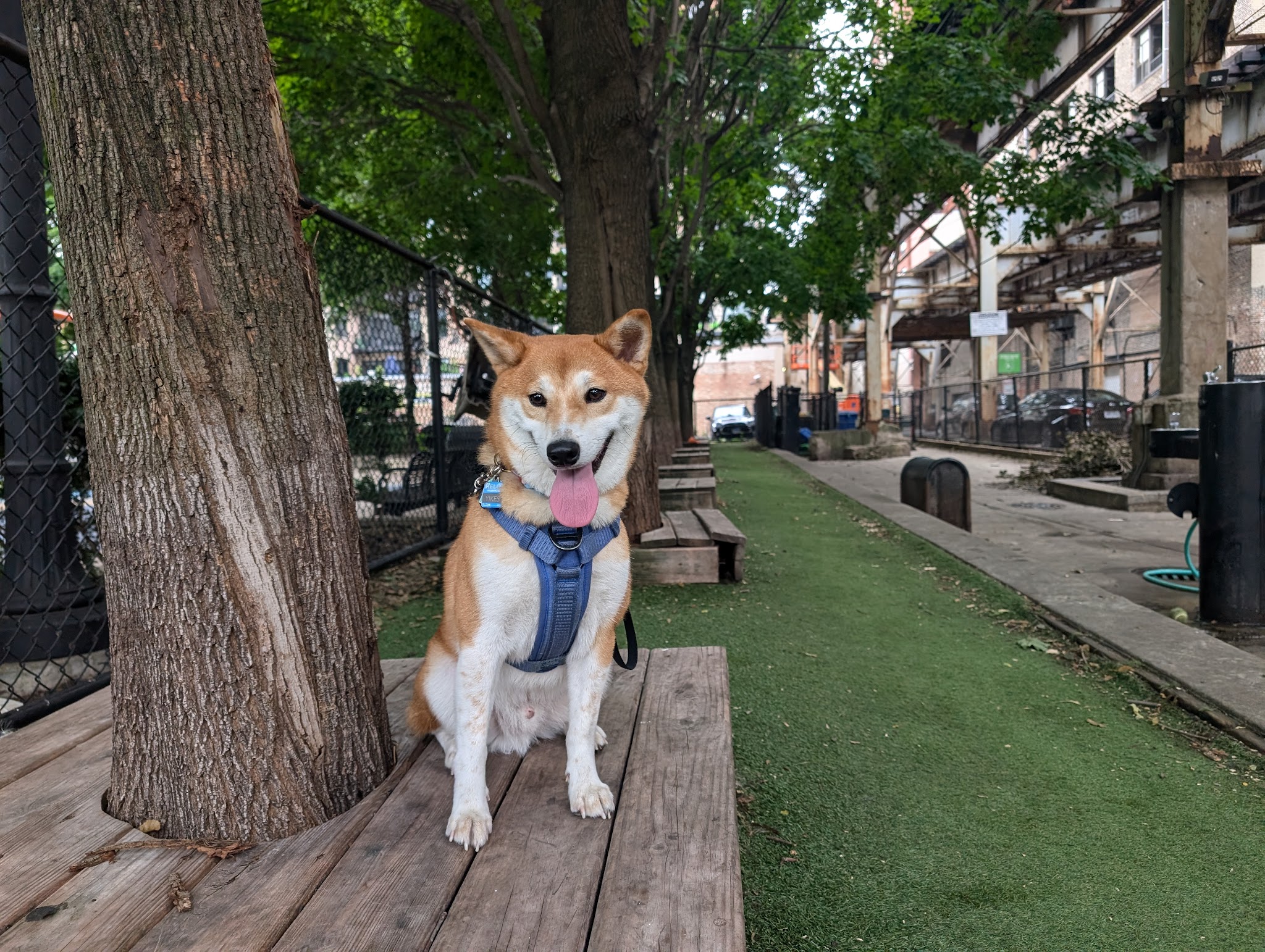 South Loop Action Cooperative - Chicago, IL