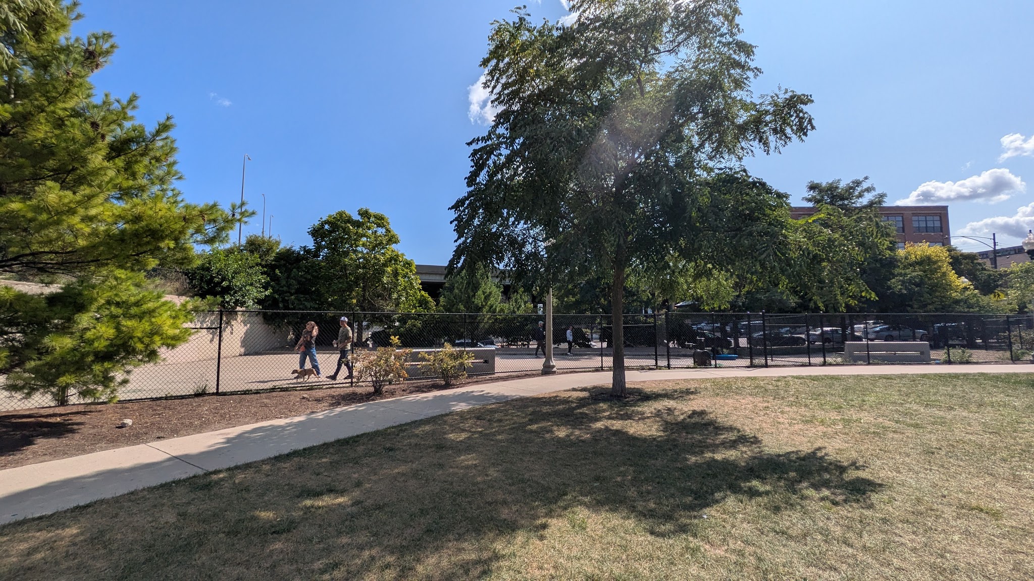 Walsh Park Dog Friendly Area - Chicago, IL