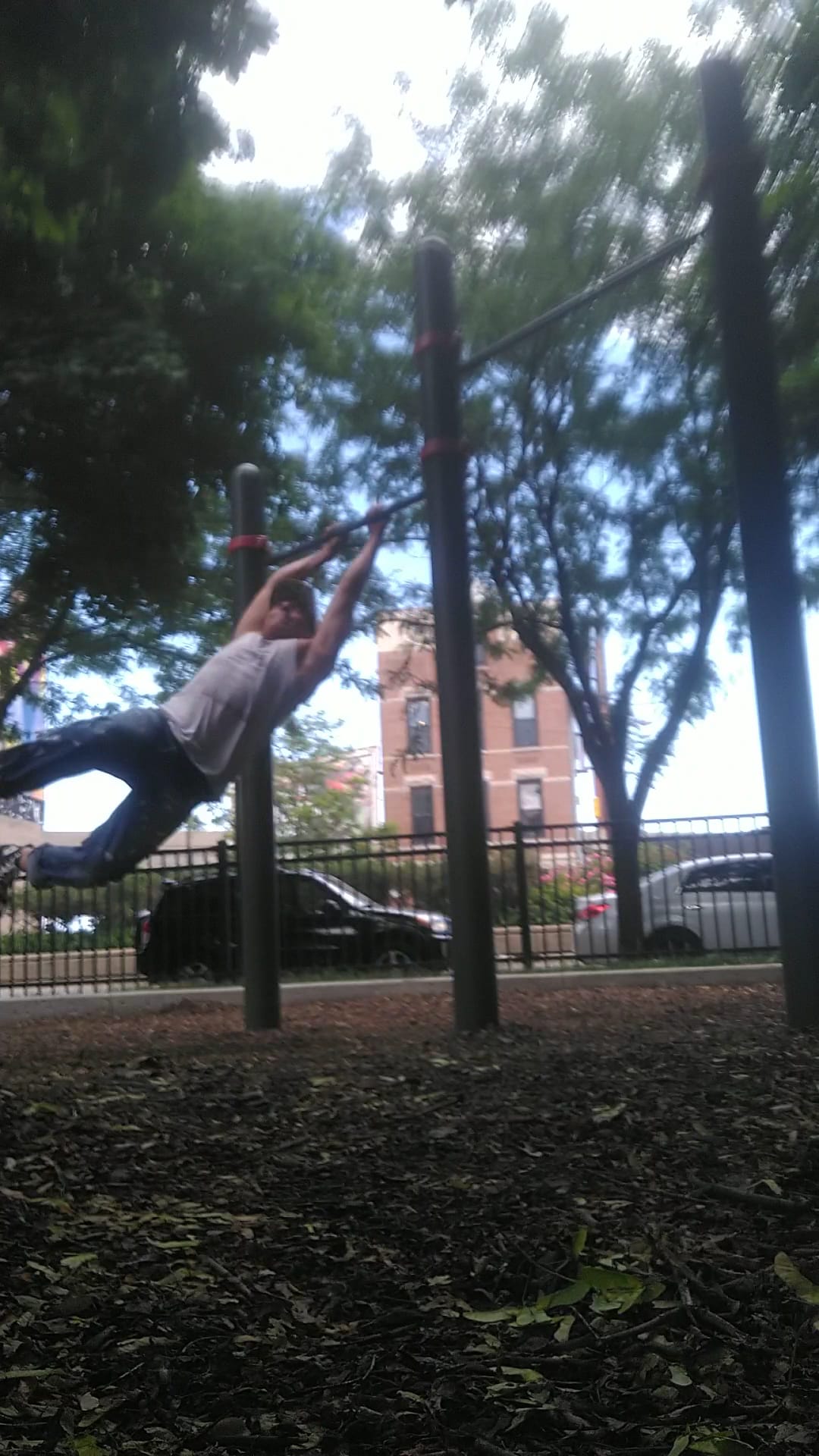 Walsh Park Dog Friendly Area - Chicago, IL