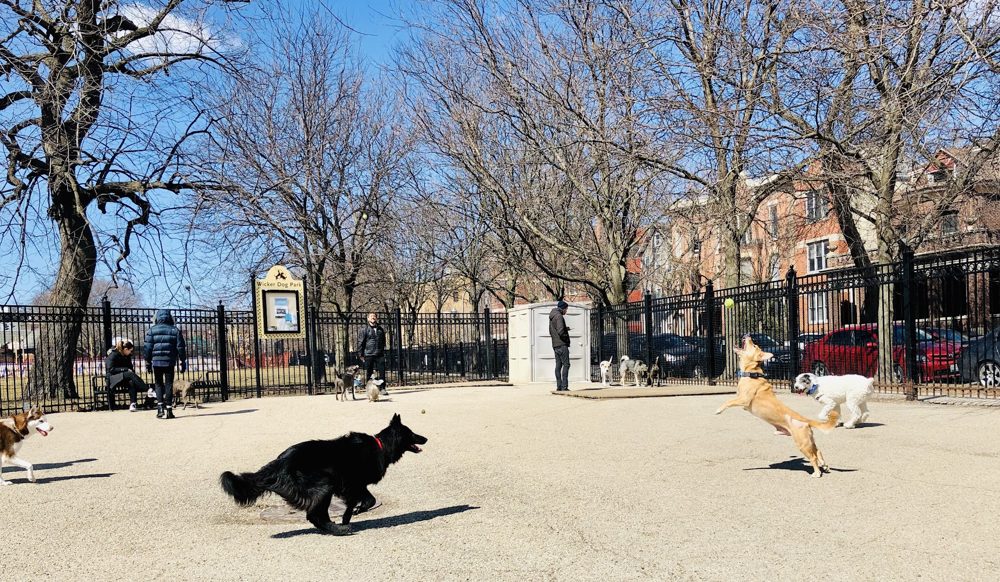 Wicker Park Dog Friendly Area - Chicago, IL