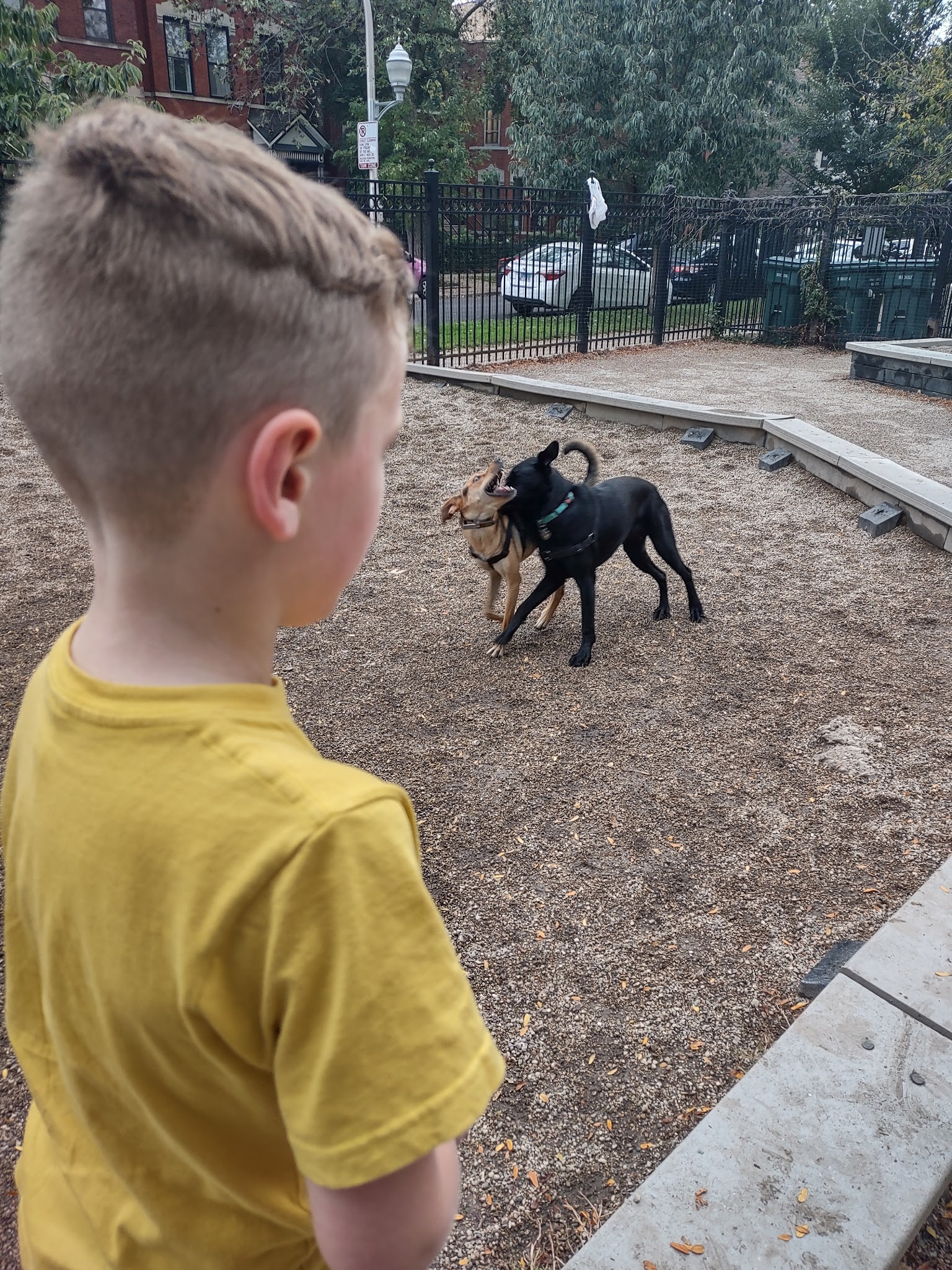 Wicker Park Dog Friendly Area - Chicago, IL