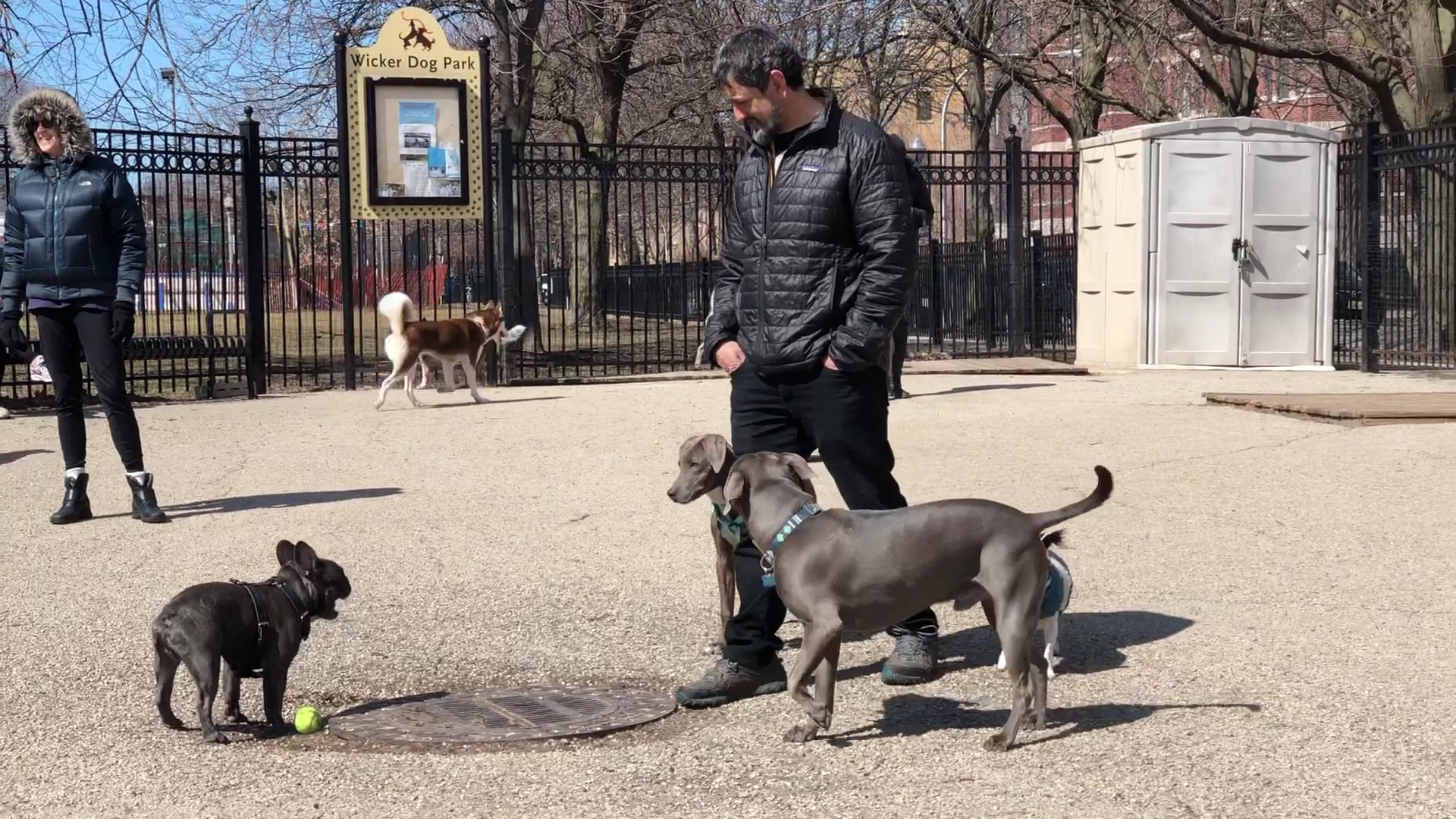 Wicker Park Dog Friendly Area - Chicago, IL