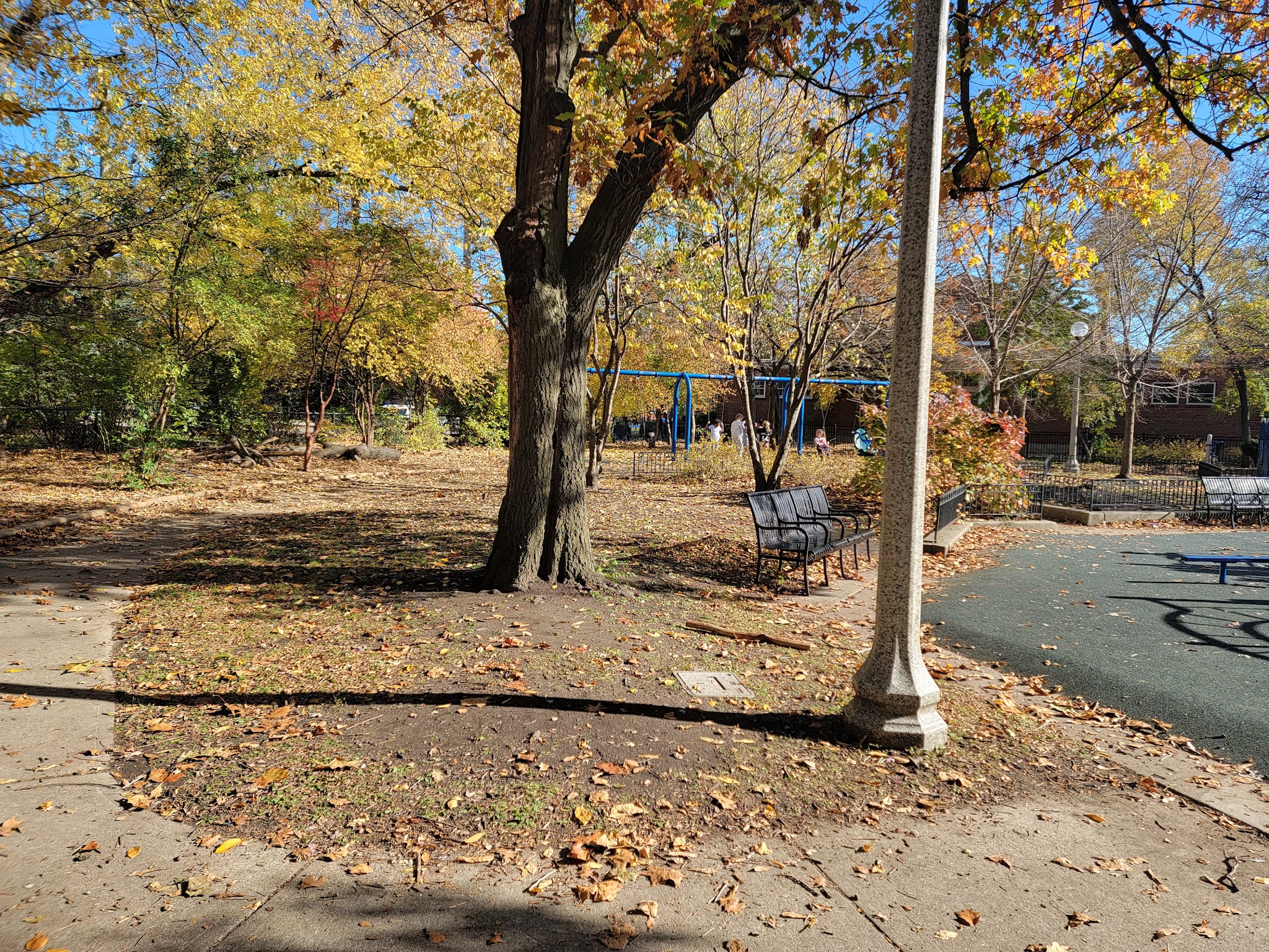 Wildwood Park - Chicago, IL