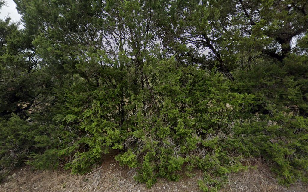 Debbie Mobie Pet Grooming - China Spring, TX