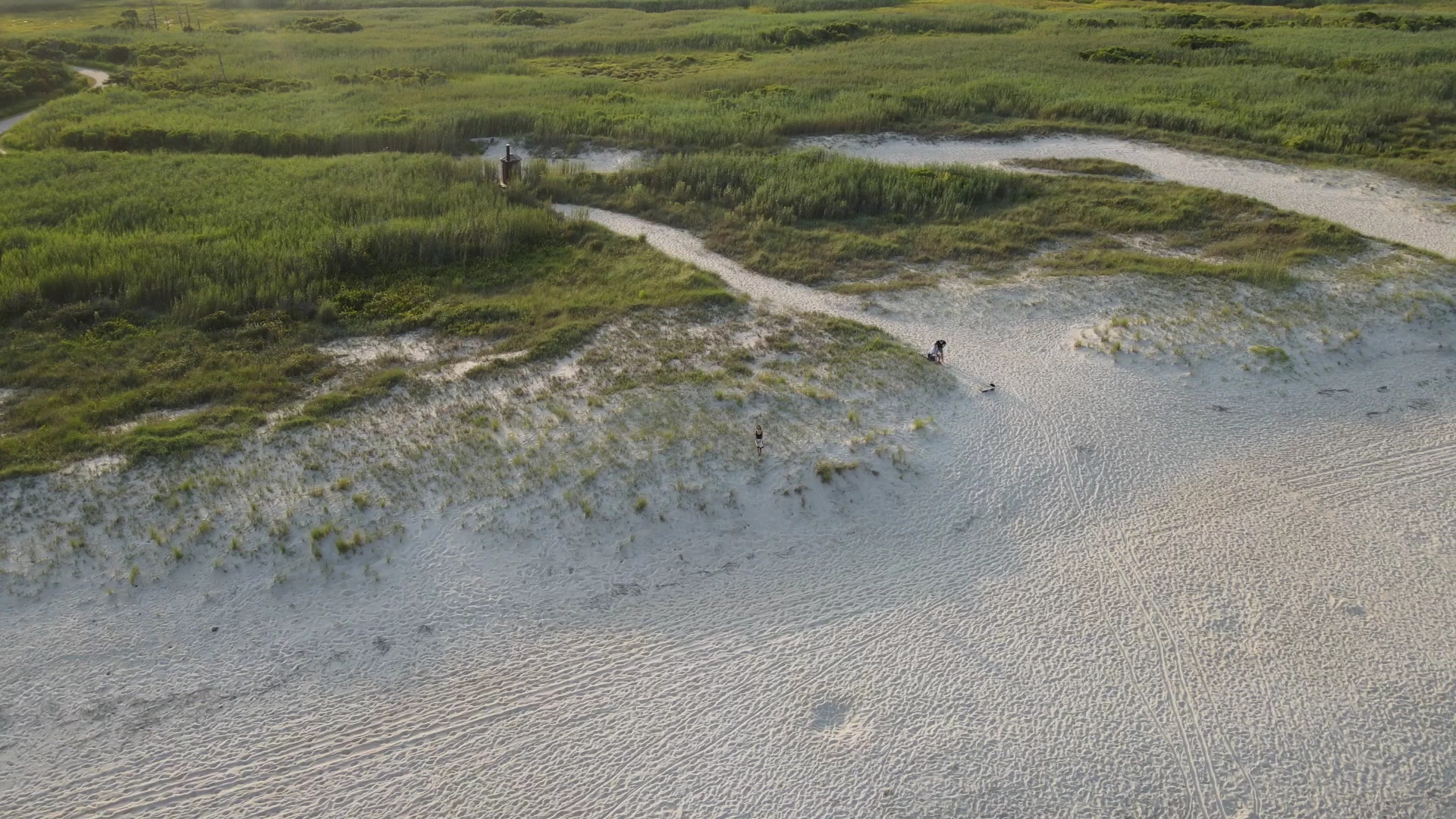 Assateague Beach - Chincoteague, VA