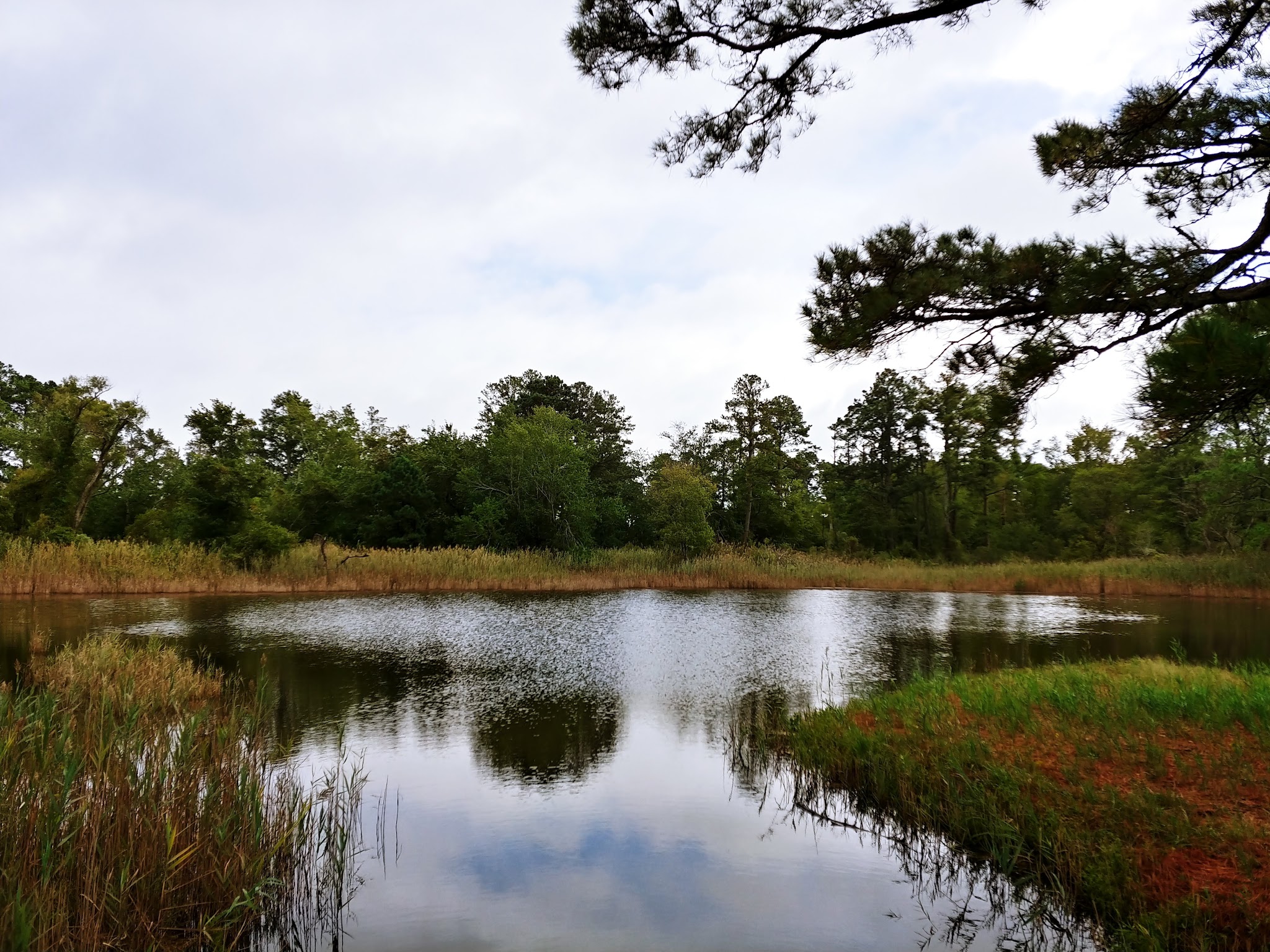 Island Nature Trail - Chincoteague, VA