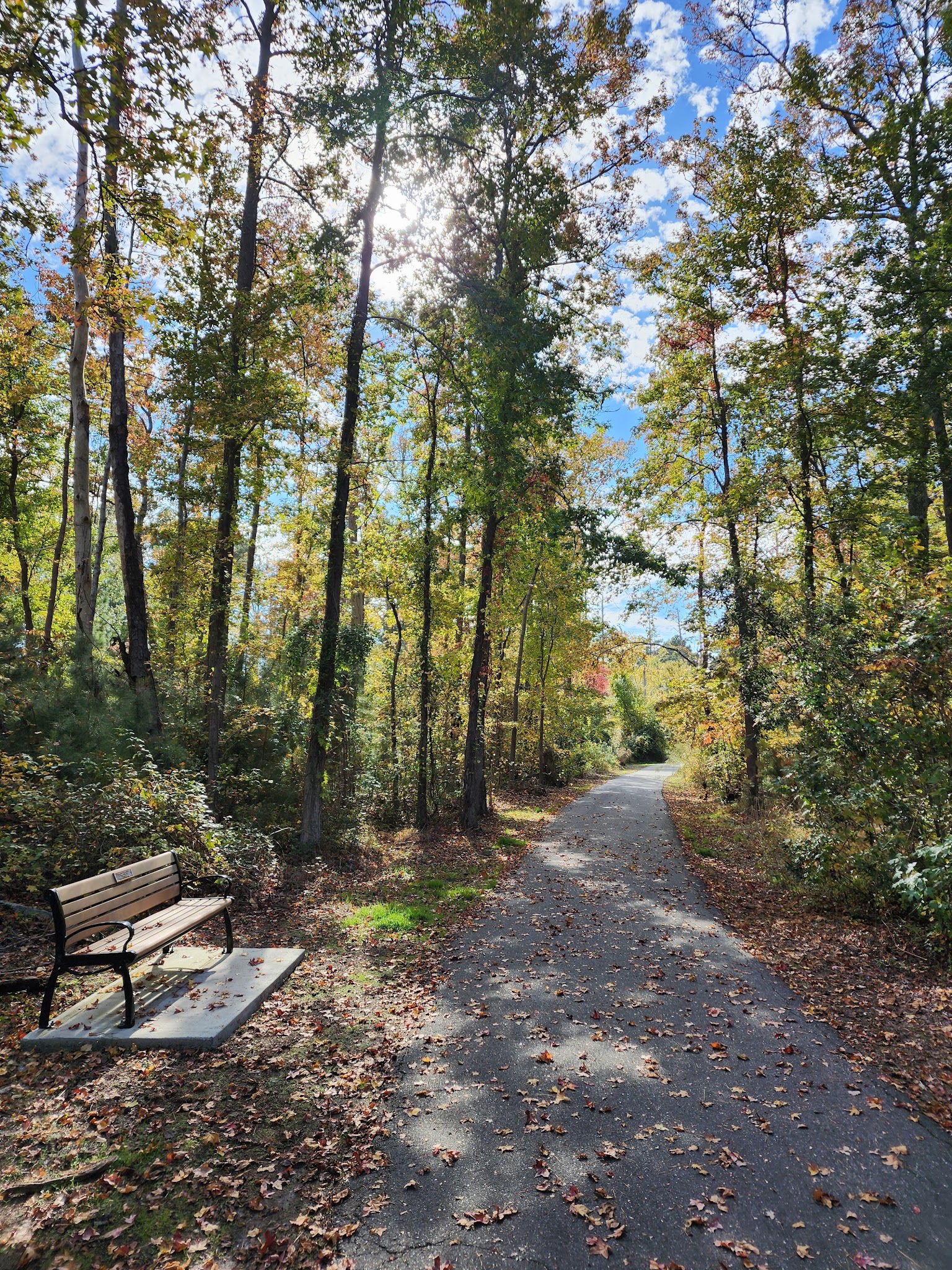 Island Nature Trail - Chincoteague, VA