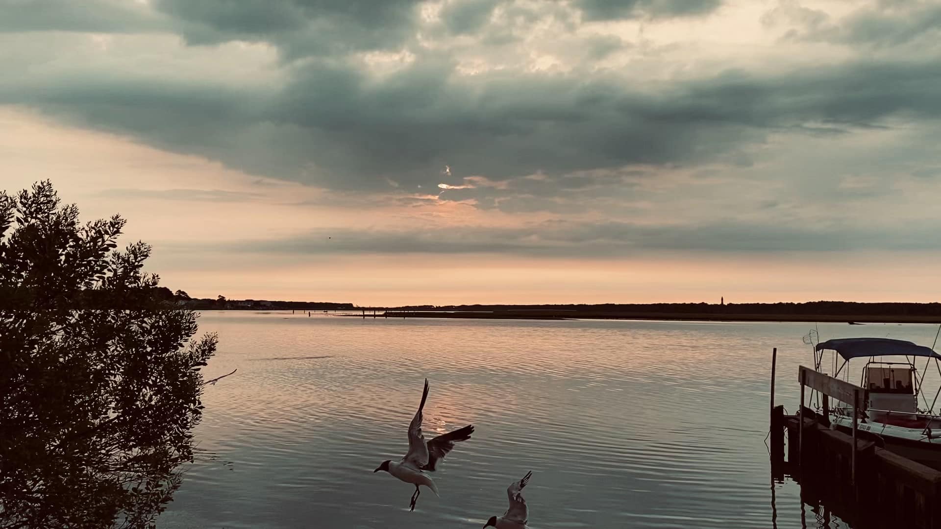 Tom's Cove Park - Chincoteague, VA