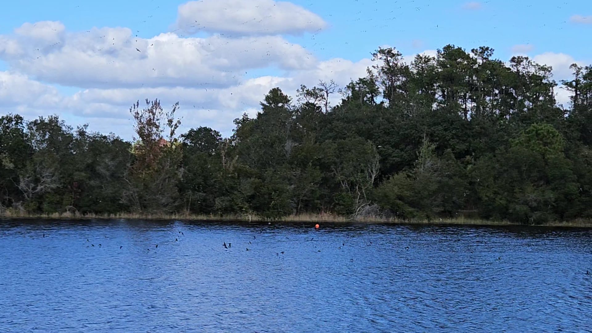 Savage Christmas Creek Preserve - Christmas, FL