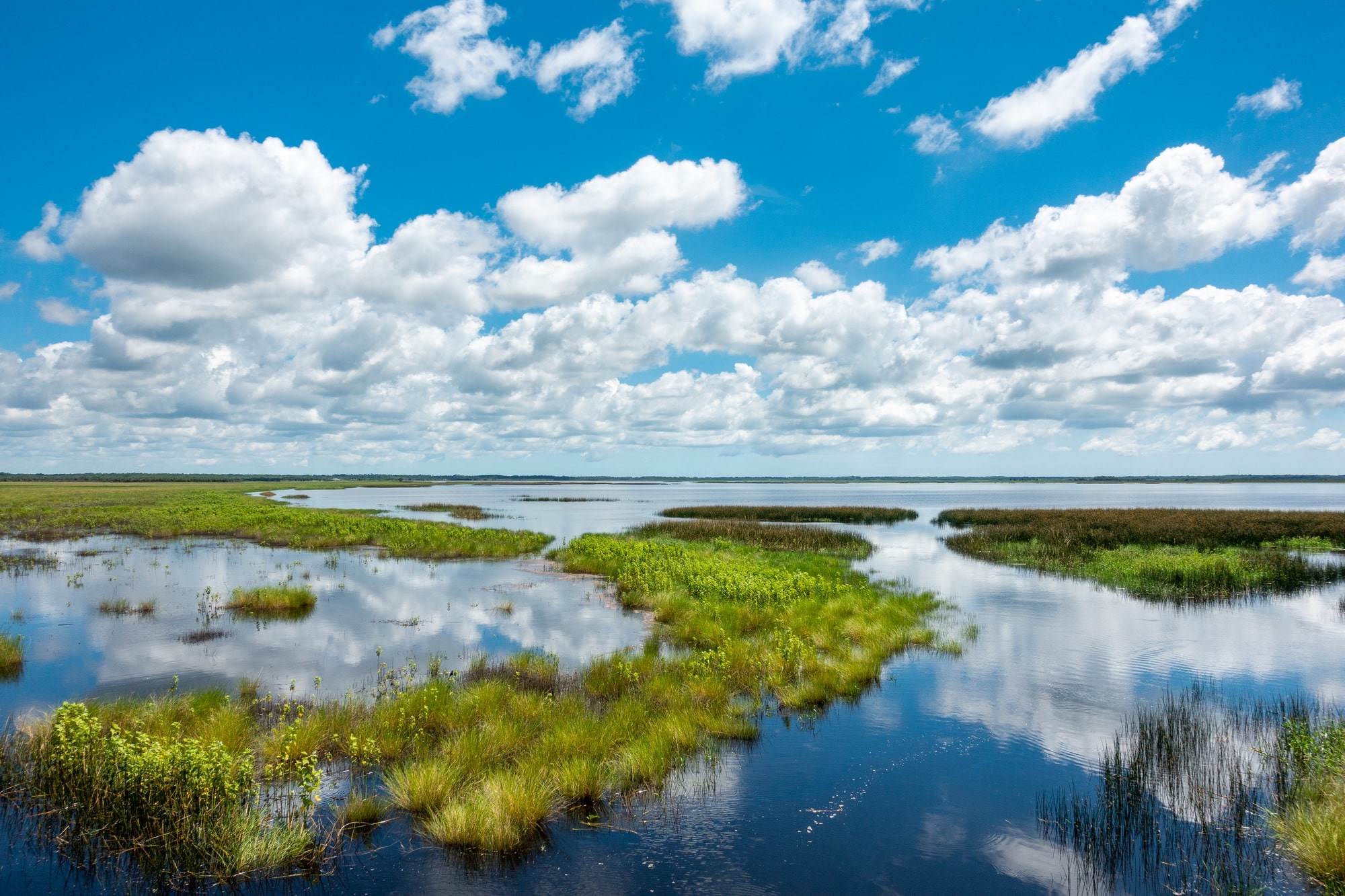 Seminole Ranch Conservation Area - Christmas, FL