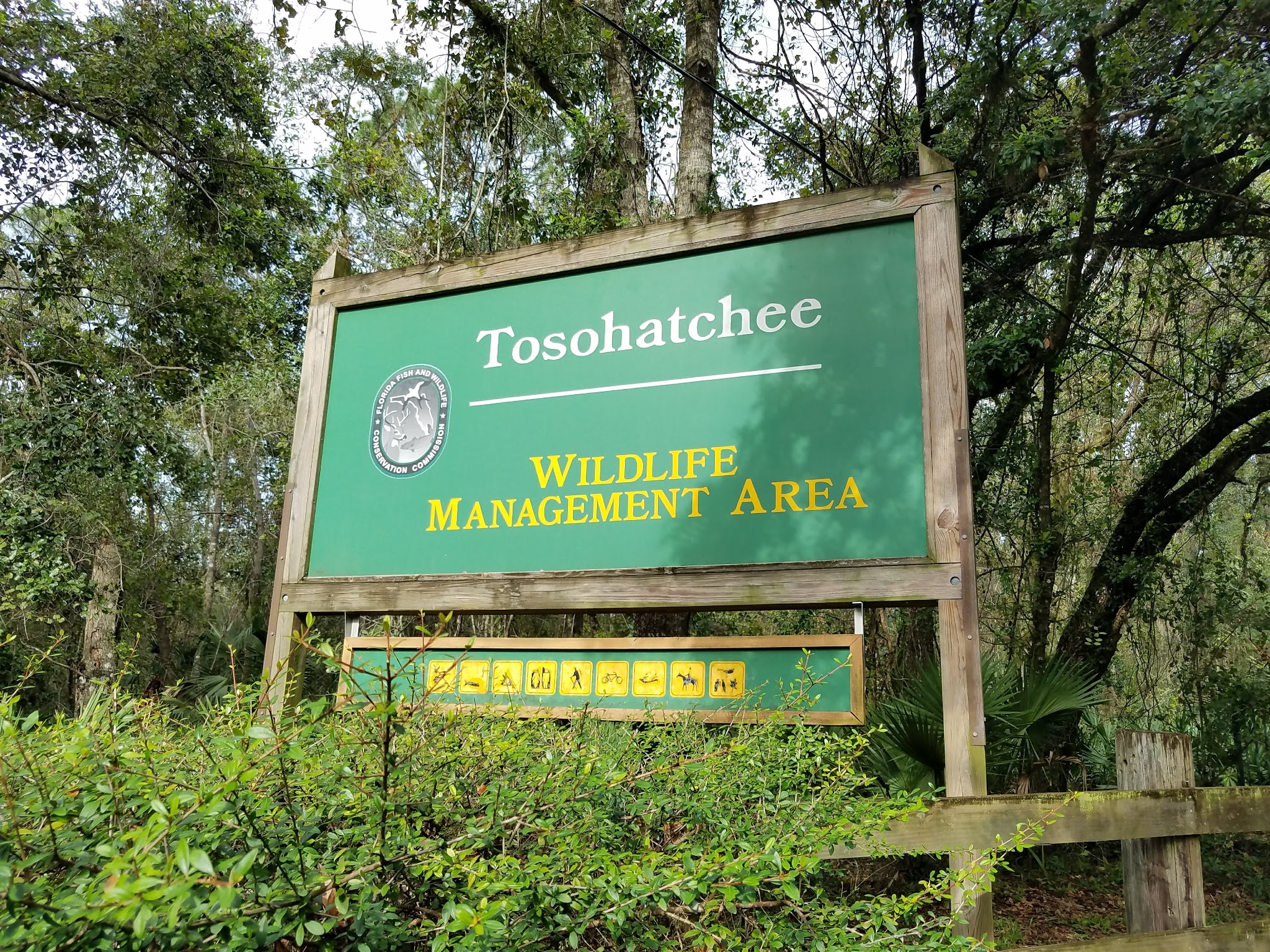 Tosohatchee Wildlife Management Area - Christmas, FL