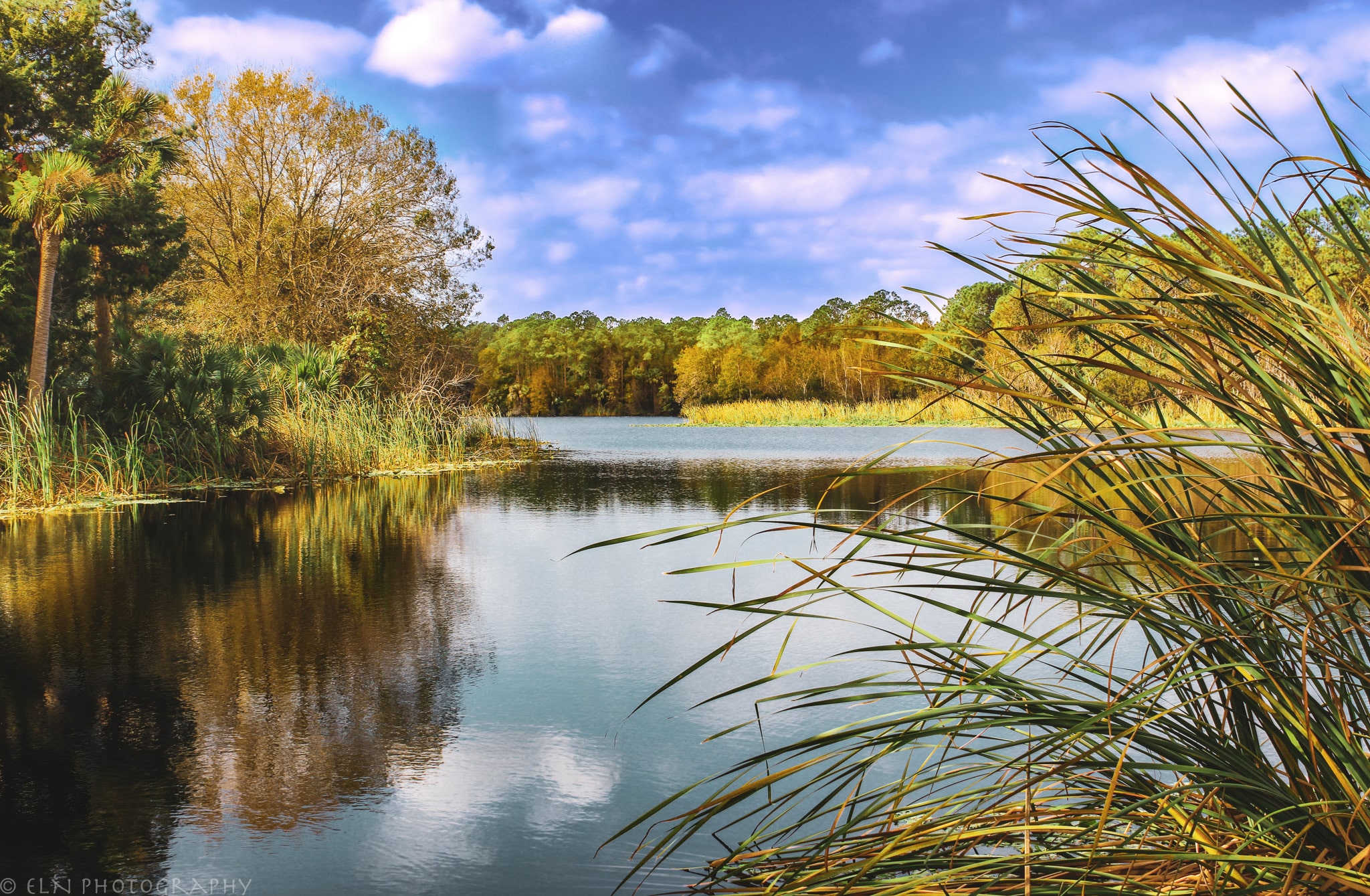 Tosohatchee Wildlife Management Area - Christmas, FL