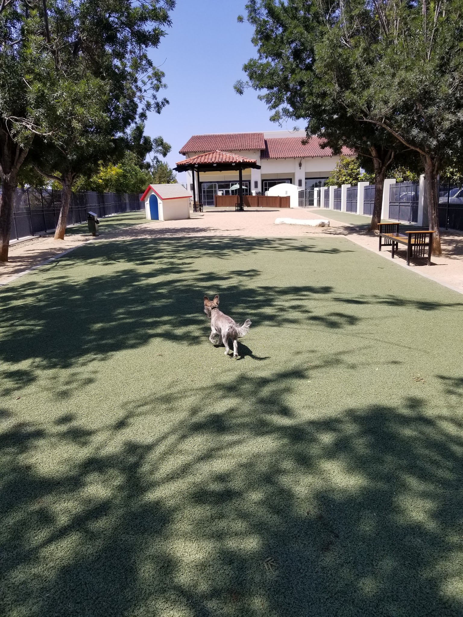 Town Center Dog Park - Chula Vista, CA