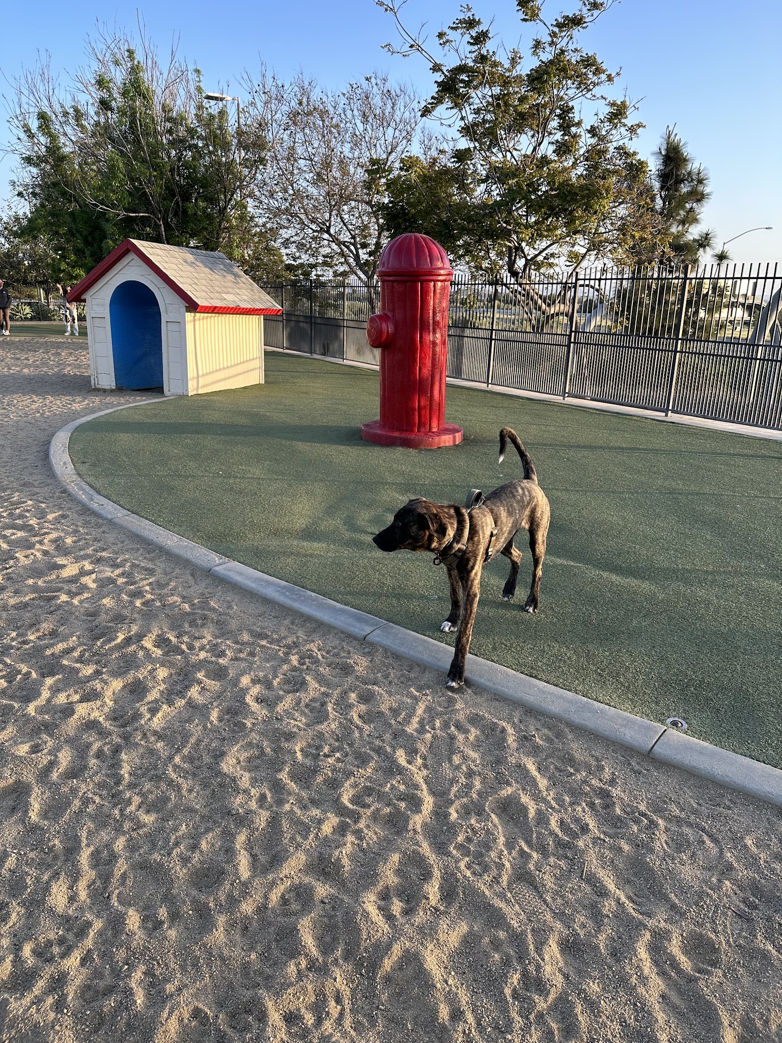 Town Center Dog Park - Chula Vista, CA