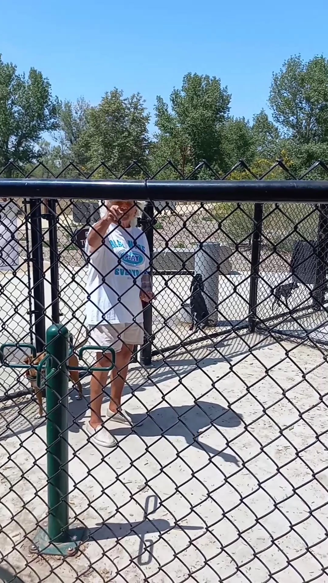 Town Center Dog Park - Chula Vista, CA