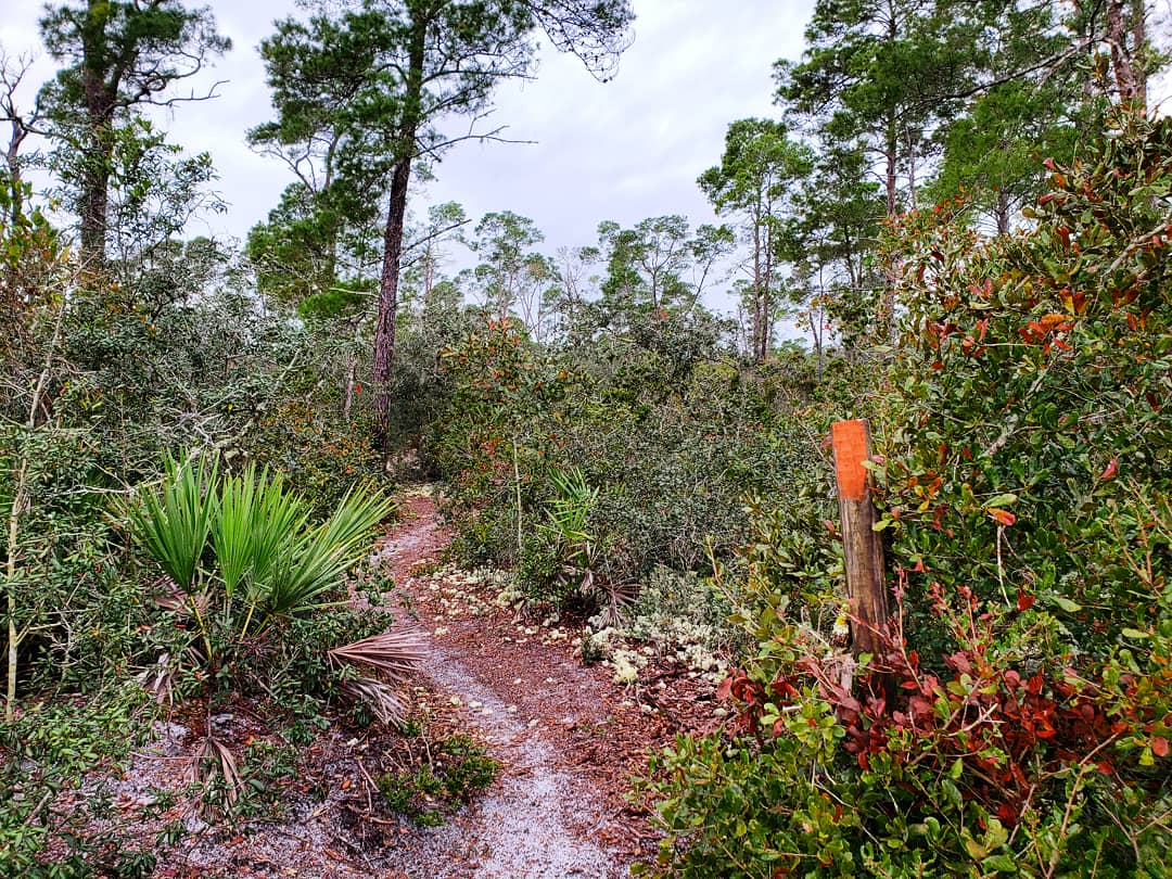 Chuluota Wilderness Area - Chuluota, FL