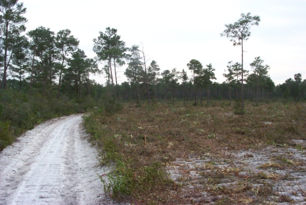 Chuluota Wilderness Area - Chuluota, FL