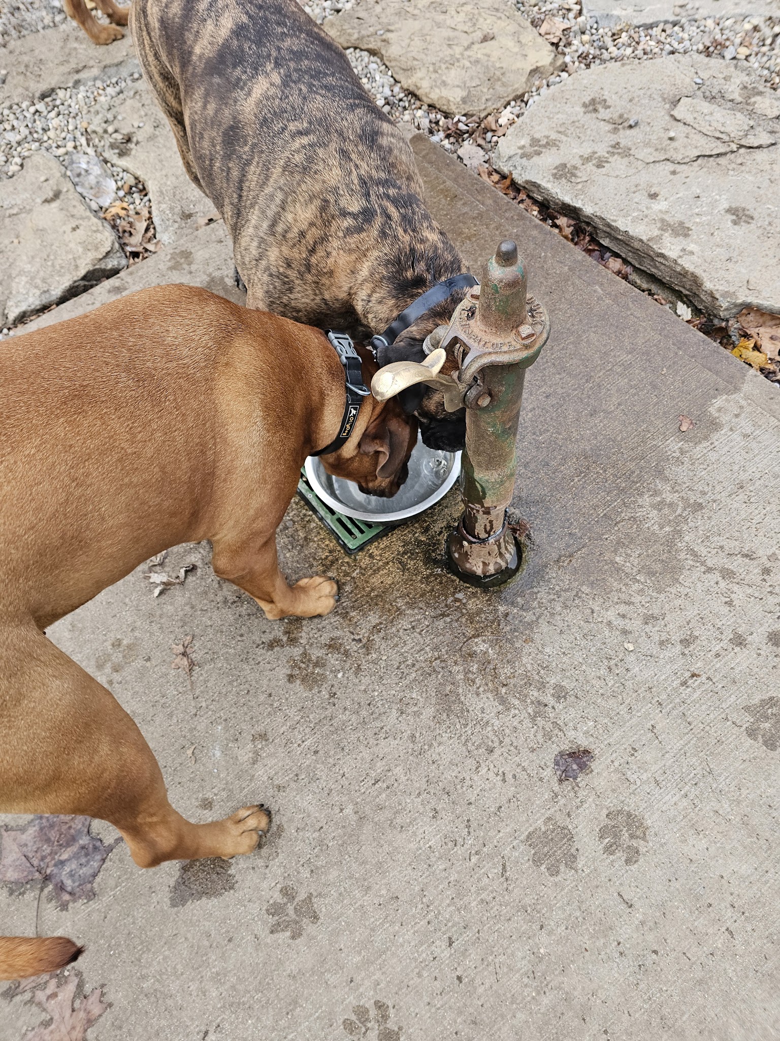 Kellogg Park & Dog Field - Cincinnati, OH