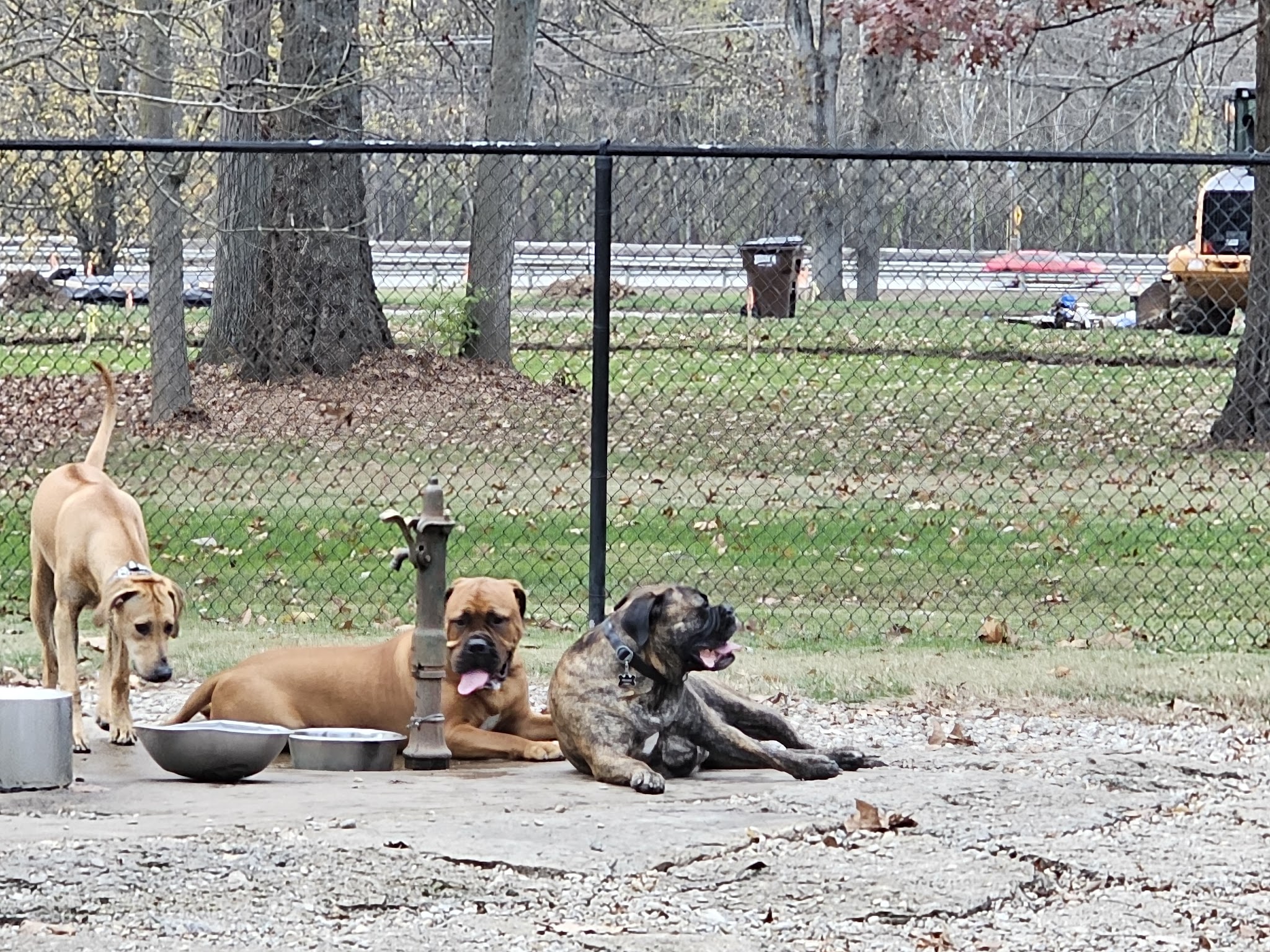 Kellogg Park & Dog Field - Cincinnati, OH