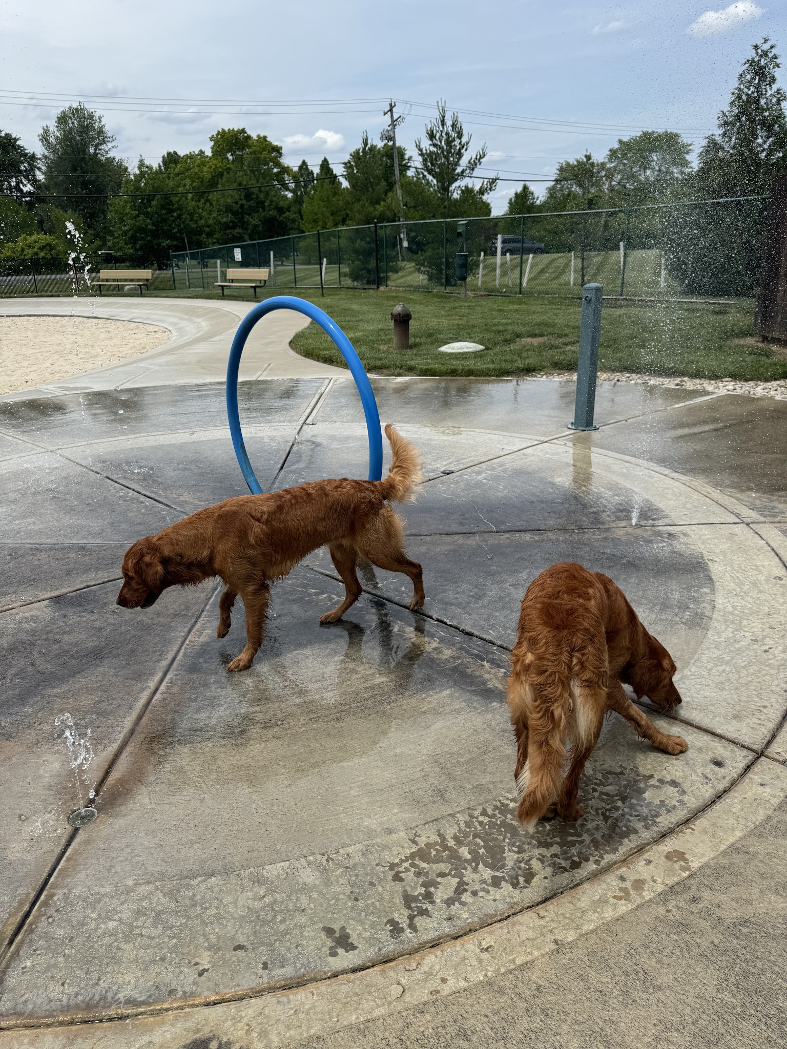 RJ Wags Park - Cincinnati, OH