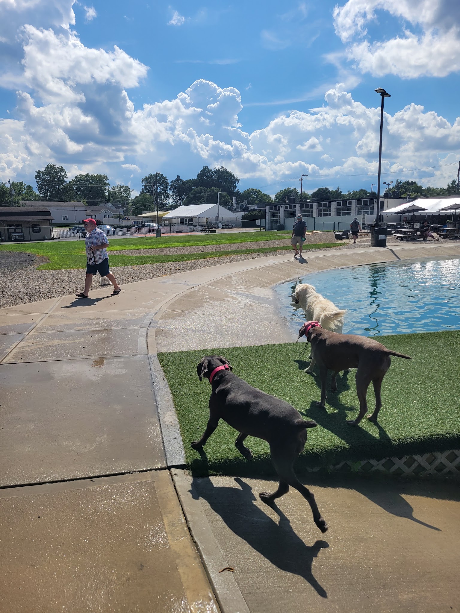 RJ Wags Park - Cincinnati, OH