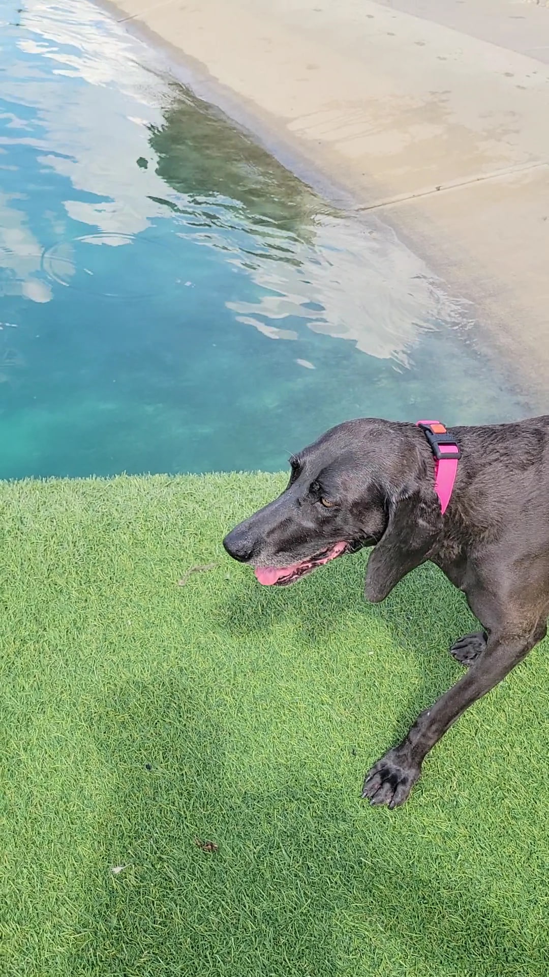 RJ Wags Park - Cincinnati, OH