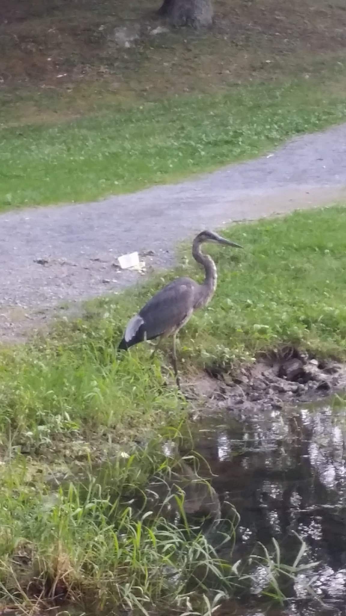 Soccer Field - Circleville, NY