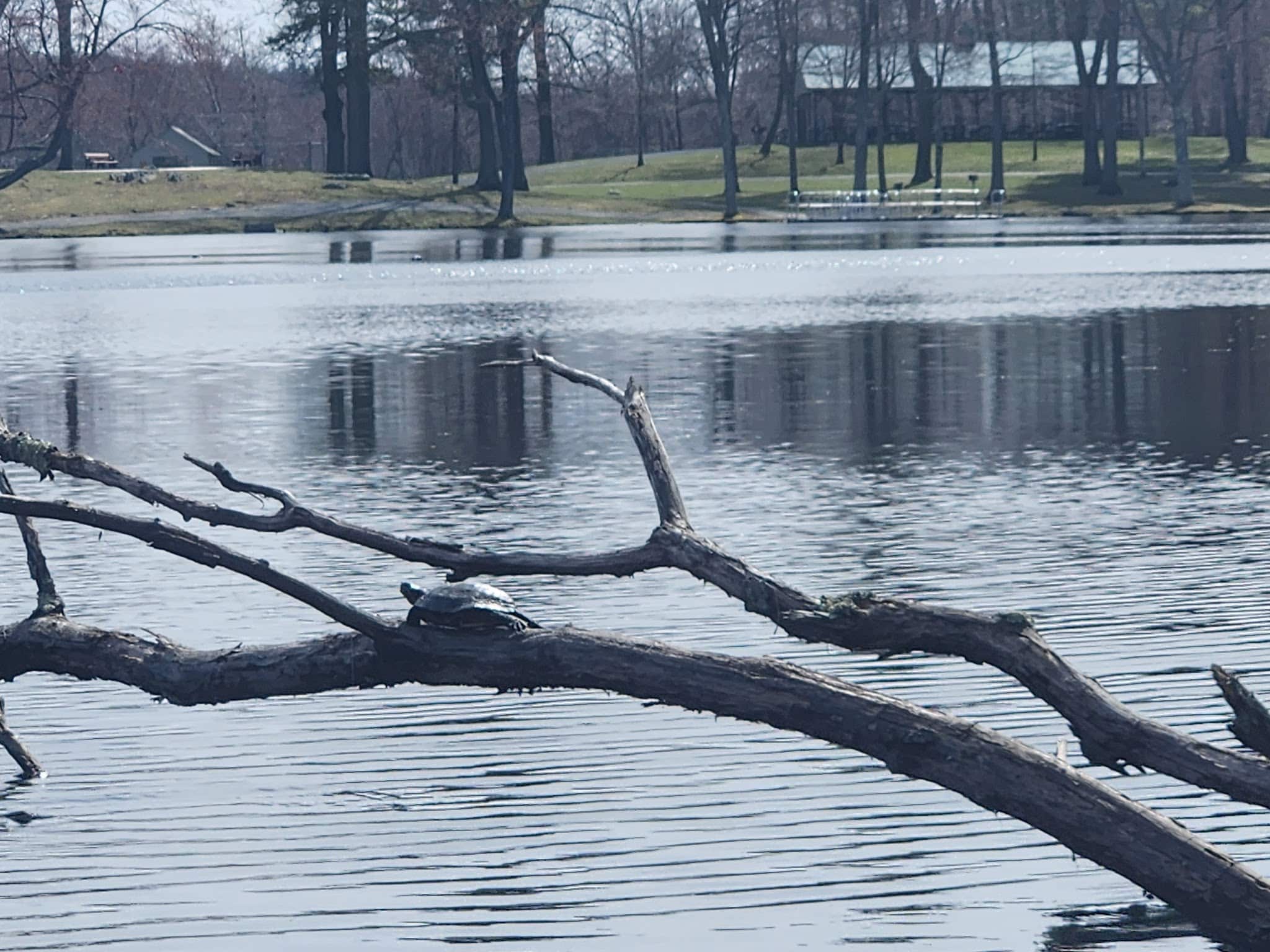 Circleville Park - Circleville, NY