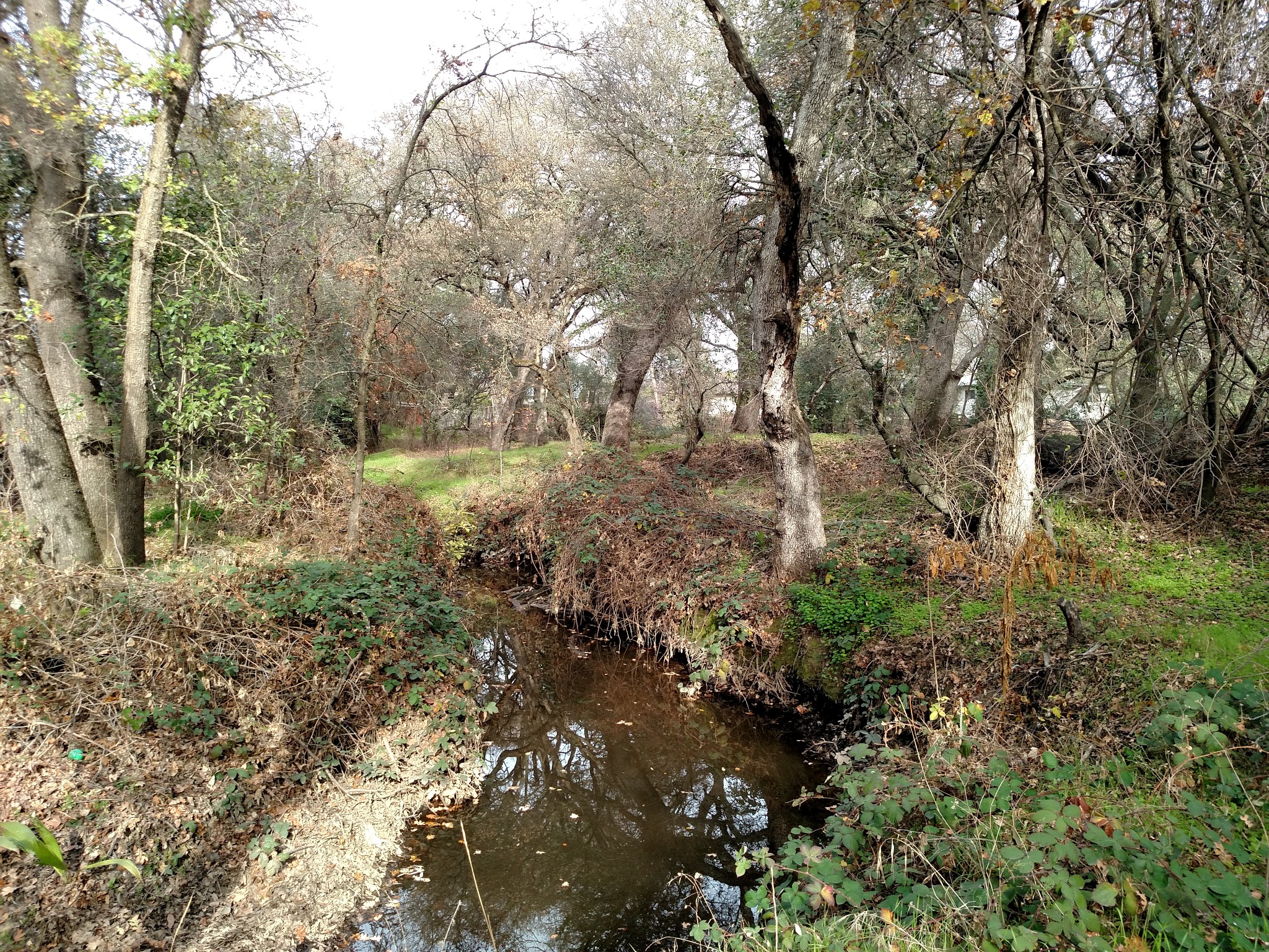 Cherry Creek Manor Park - Citrus Heights, CA