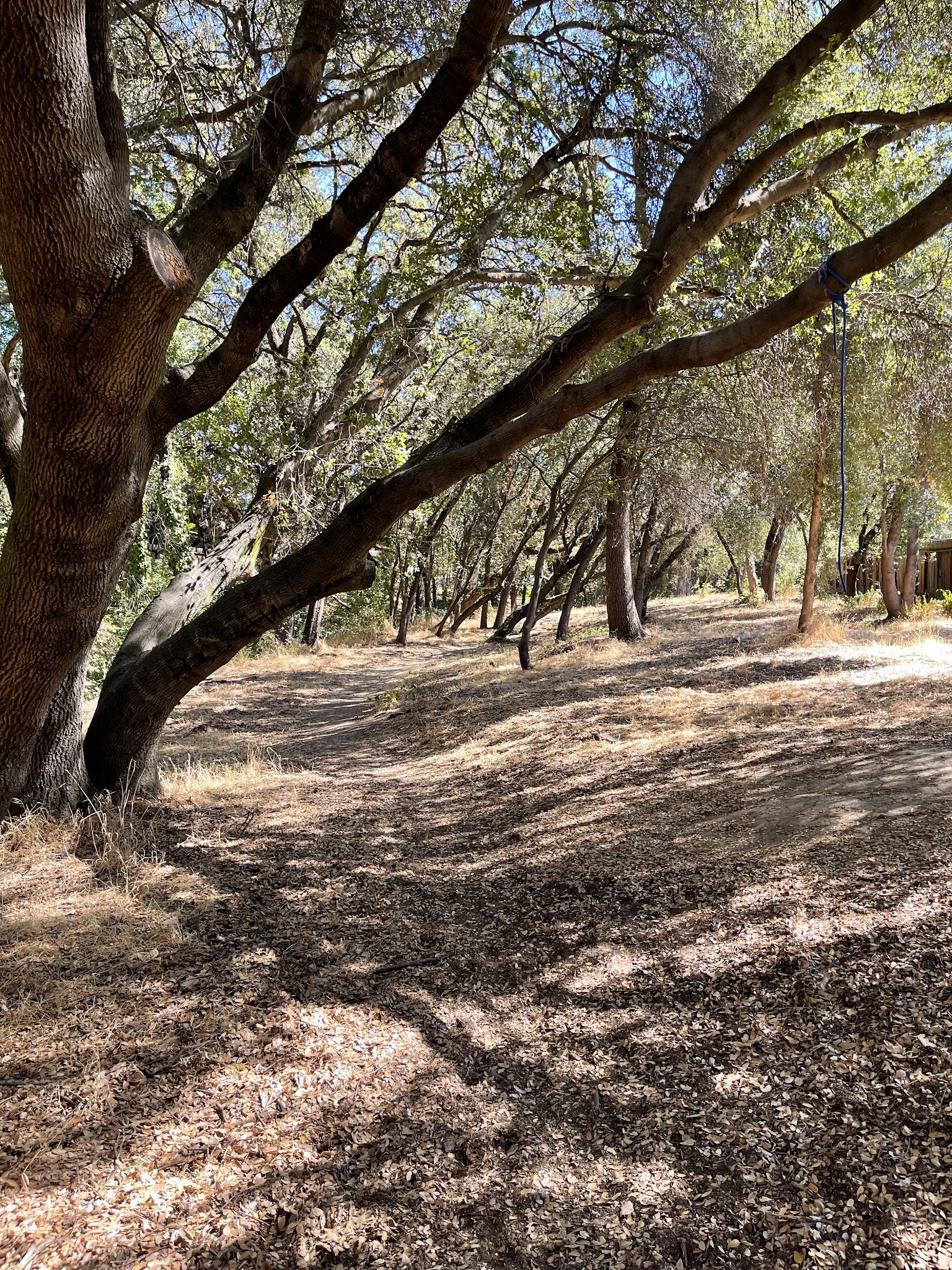 Cherry Creek Manor Park - Citrus Heights, CA