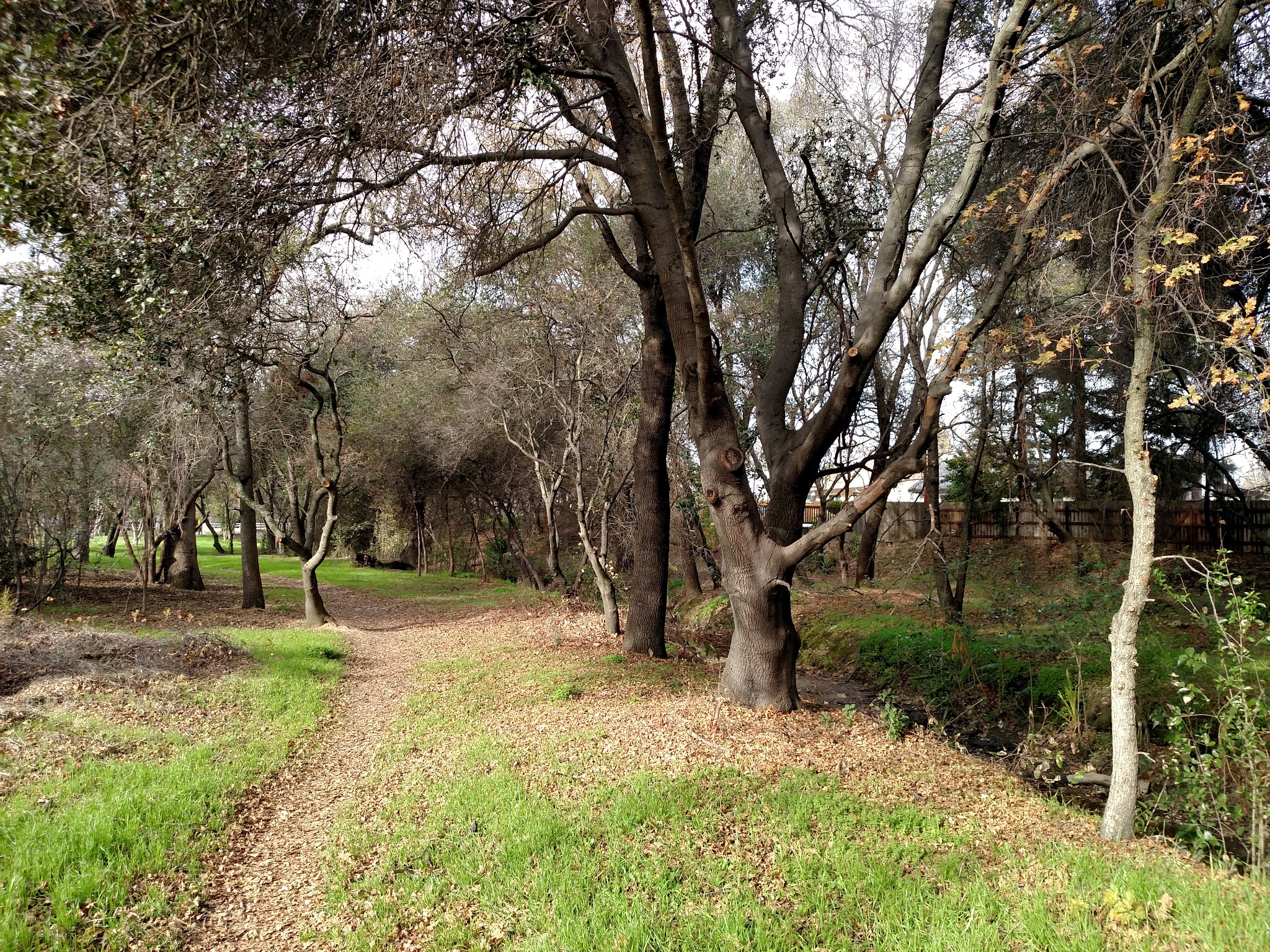 Cherry Creek Manor Park - Citrus Heights, CA