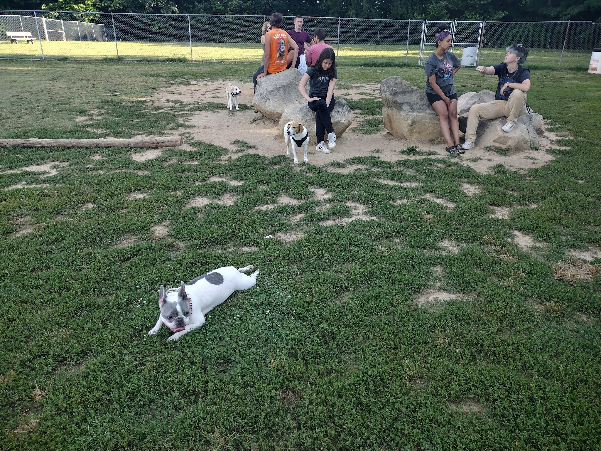 Heritage Dog Park - Clarksville, TN