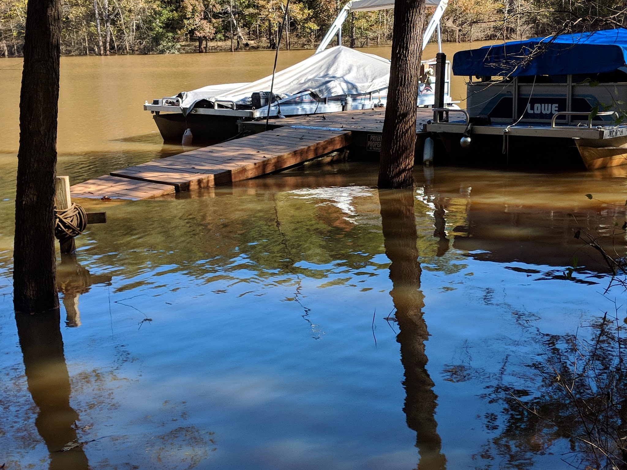Beaver Pond Creek Wildlife Management Area - Clarksville, VA