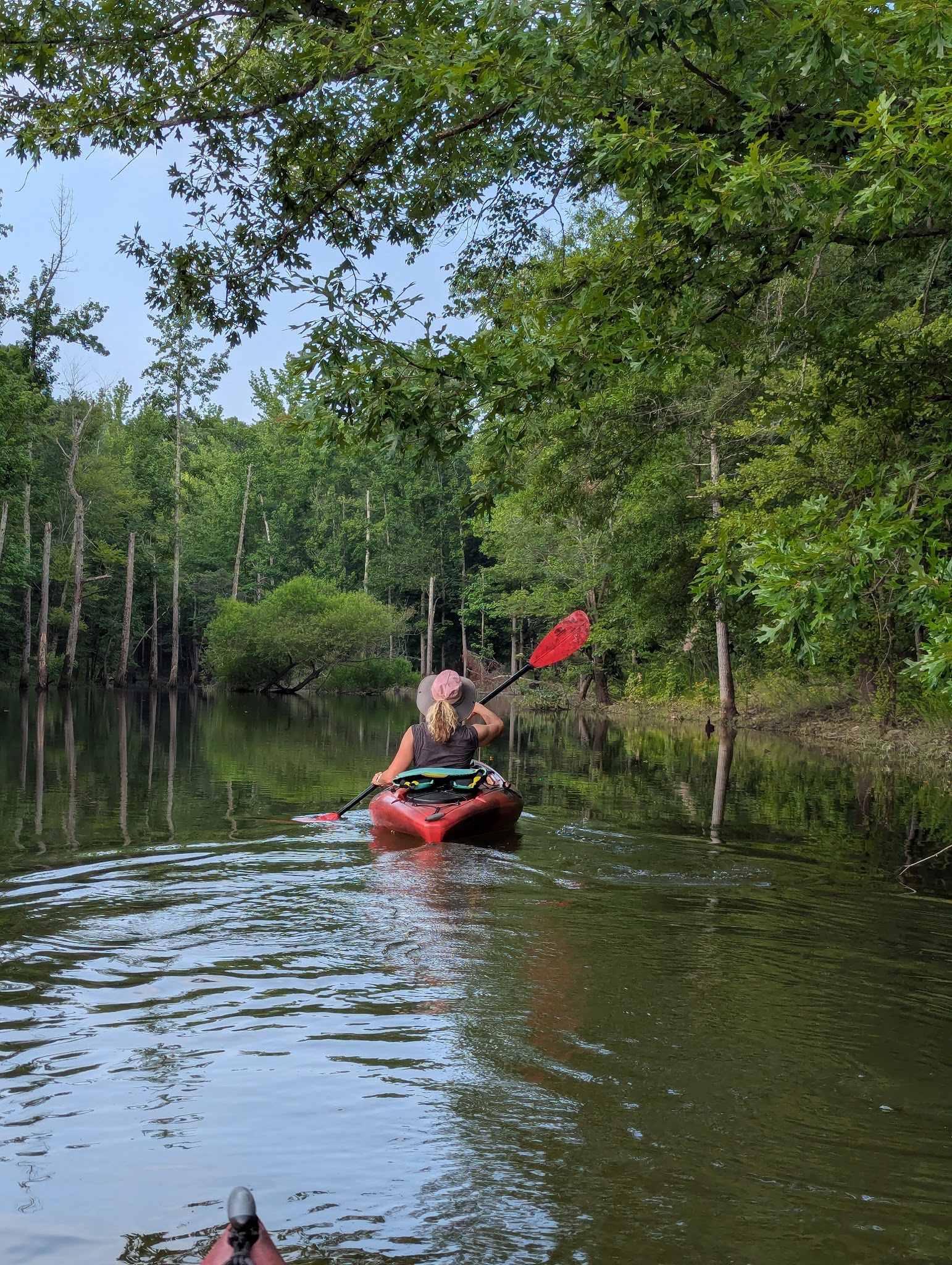 Beaver Pond Creek Wildlife Management Area - Clarksville, VA