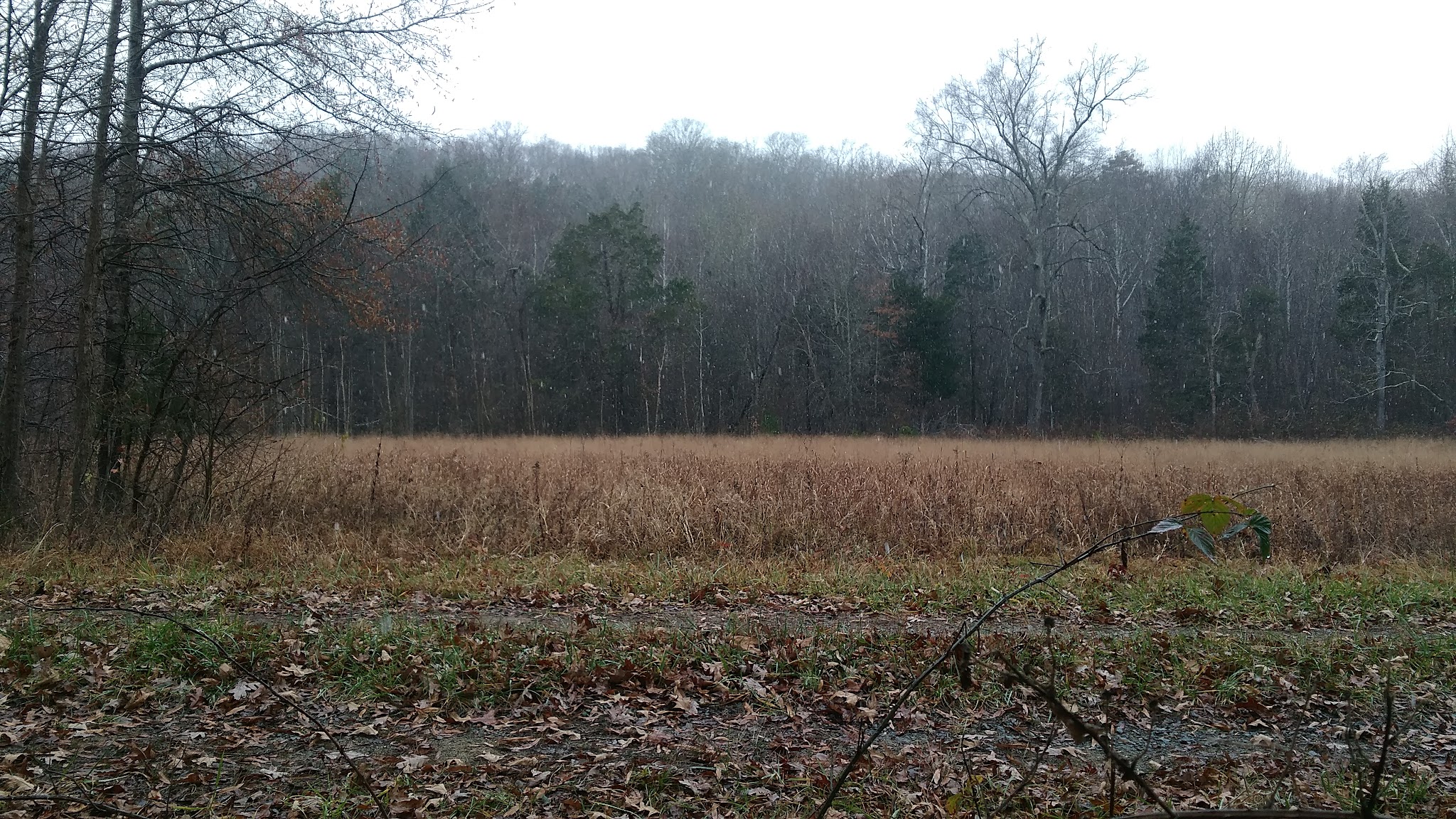 Beaver Pond Creek Wildlife Management Area - Clarksville, VA