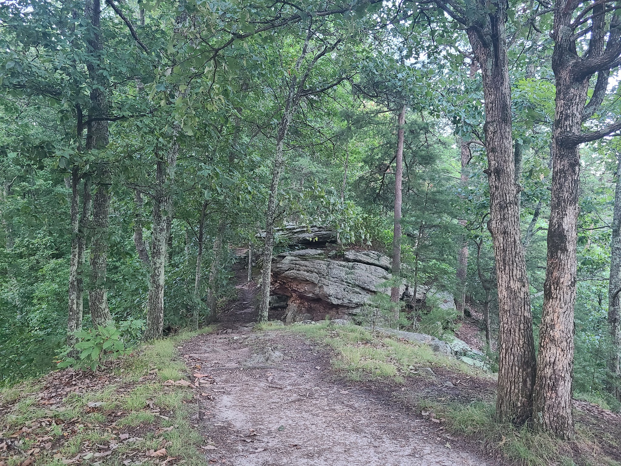 Pilot Knob - Clay City, KY