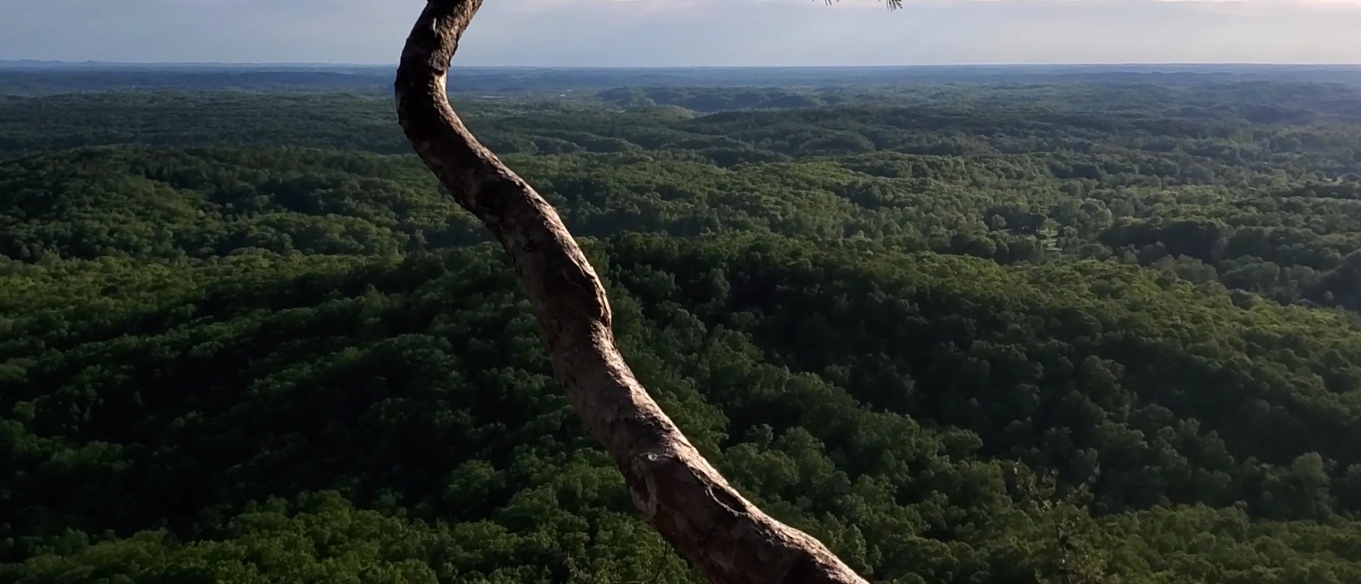 Pilot Knob - Clay City, KY