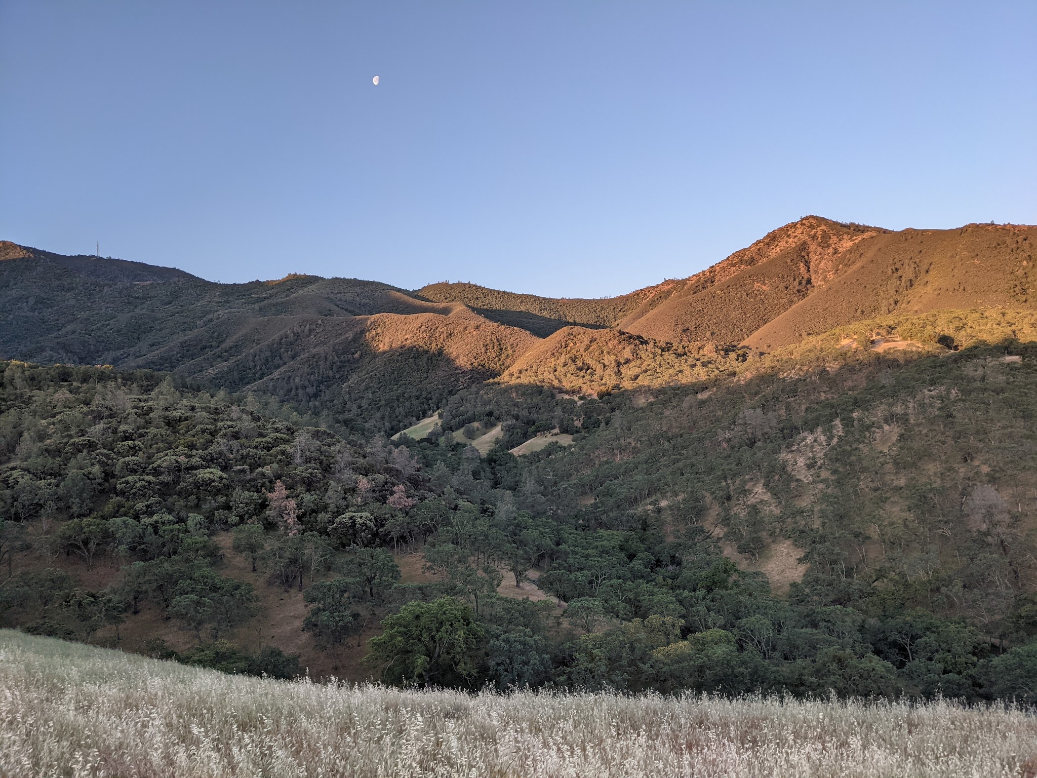 Diablo State Park - Clayton, CA