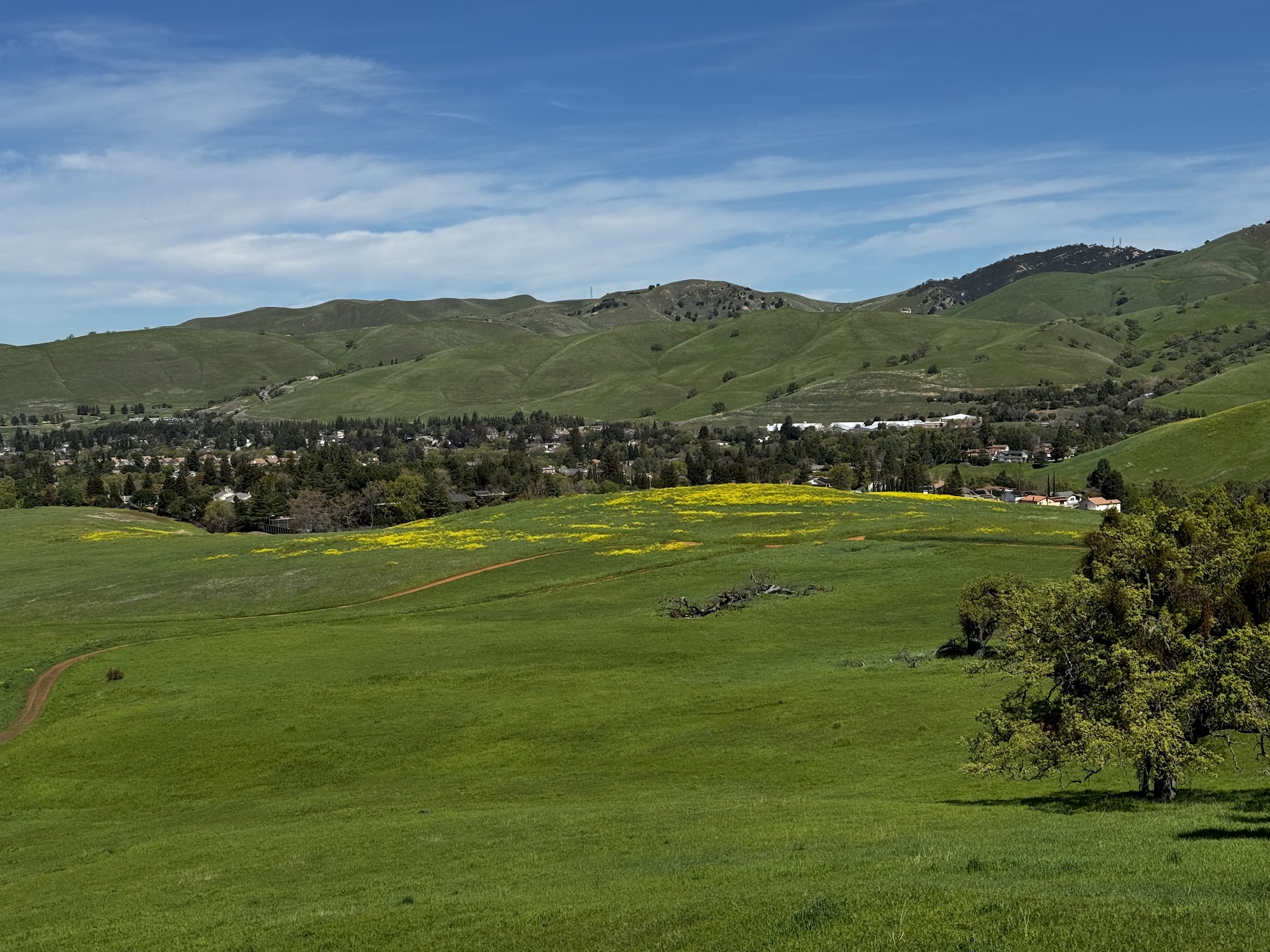 Diablo State Park - Clayton, CA