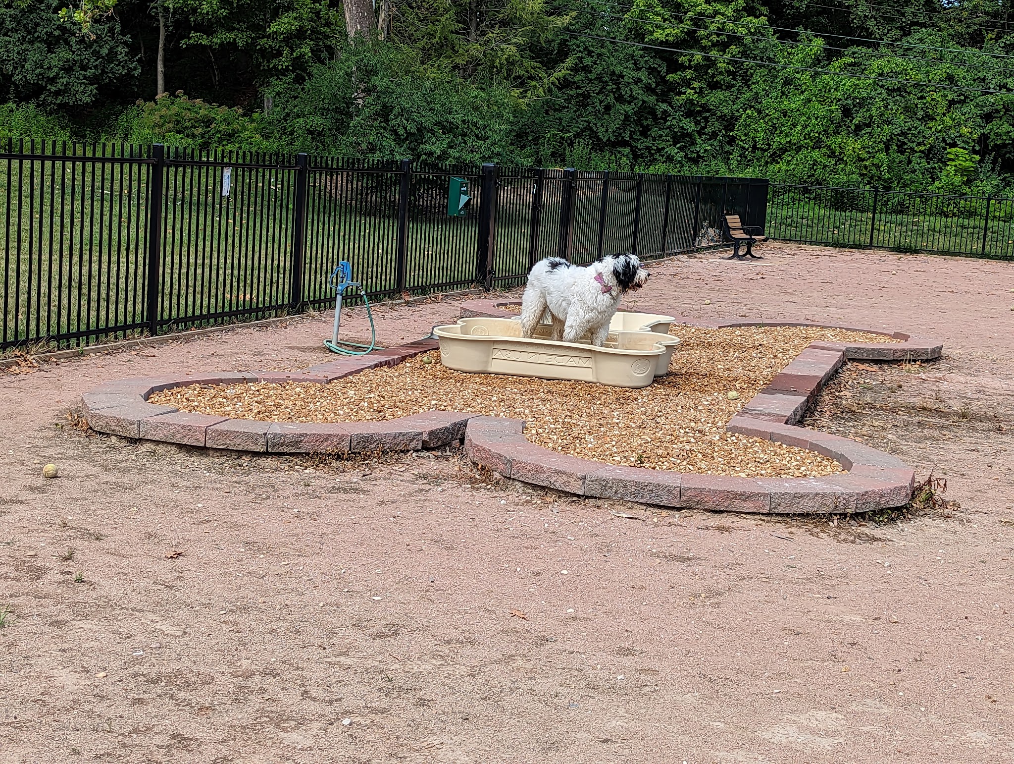 Clayton Dog Park (Membership Only) - Clayton, MO