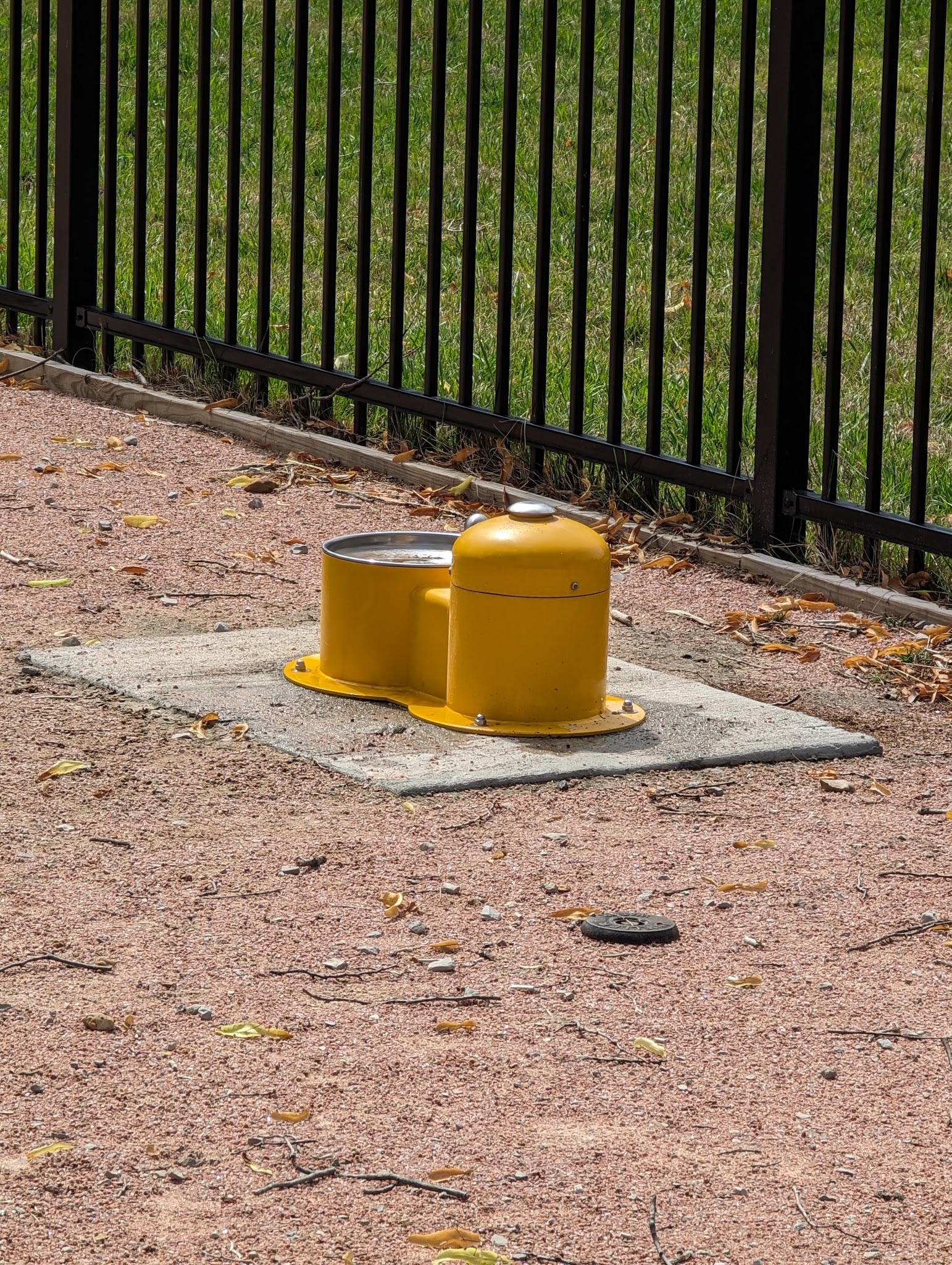 Clayton Dog Park (Membership Only) - Clayton, MO