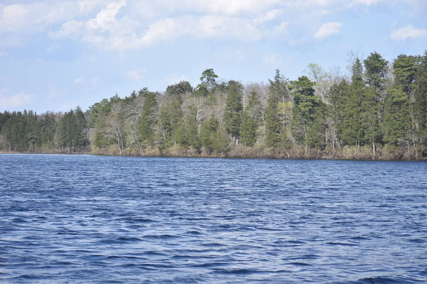Glassboro Wildlife Management Area - Clayton, NJ