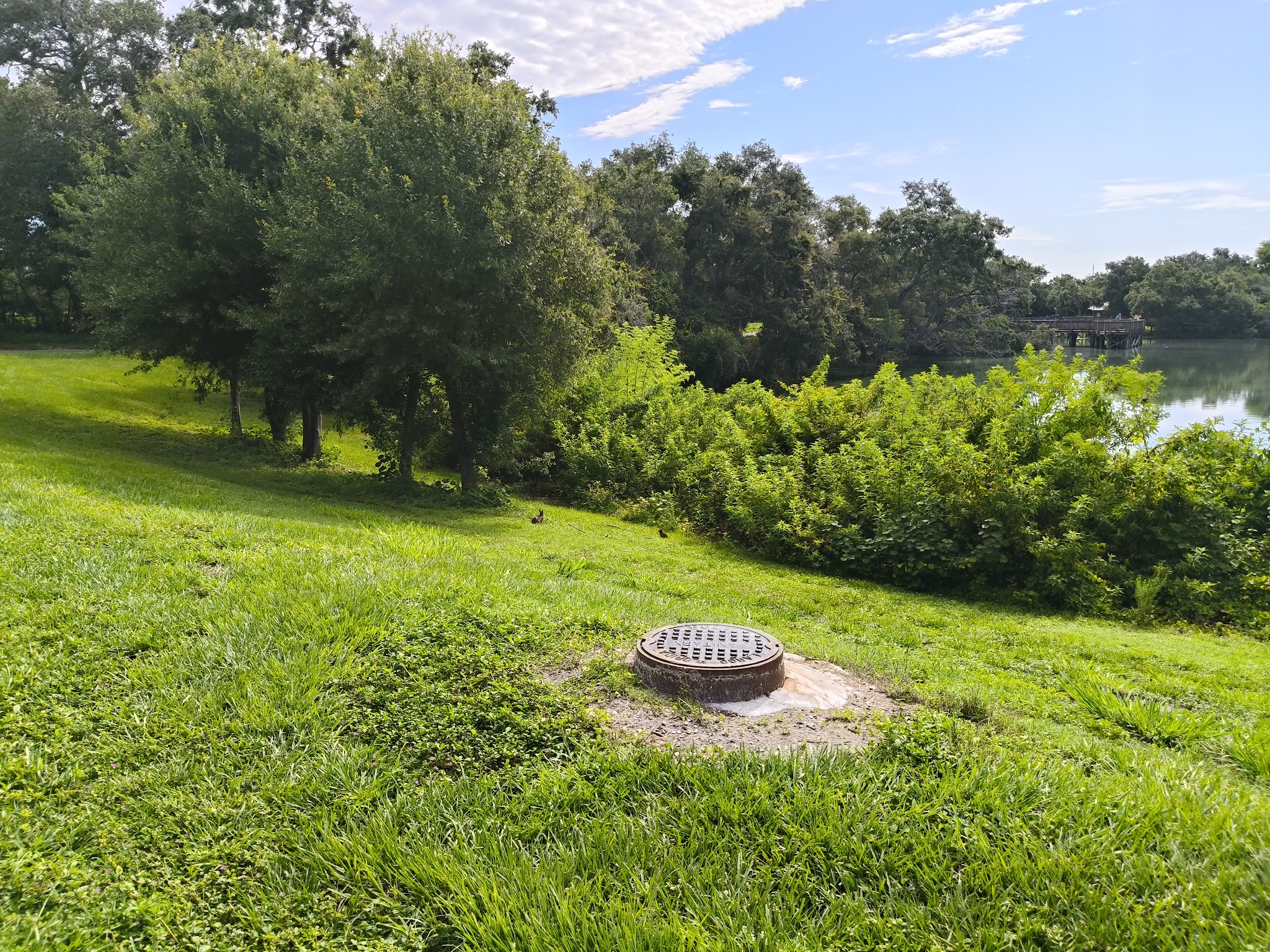 Eagle Lake Dog Park #1 - Clearwater, FL